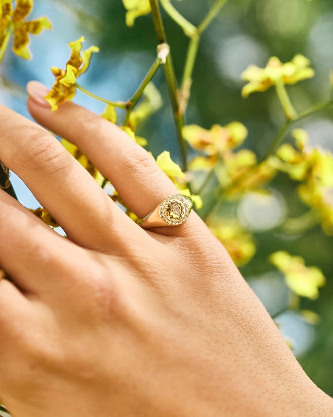 air plant ring on finger