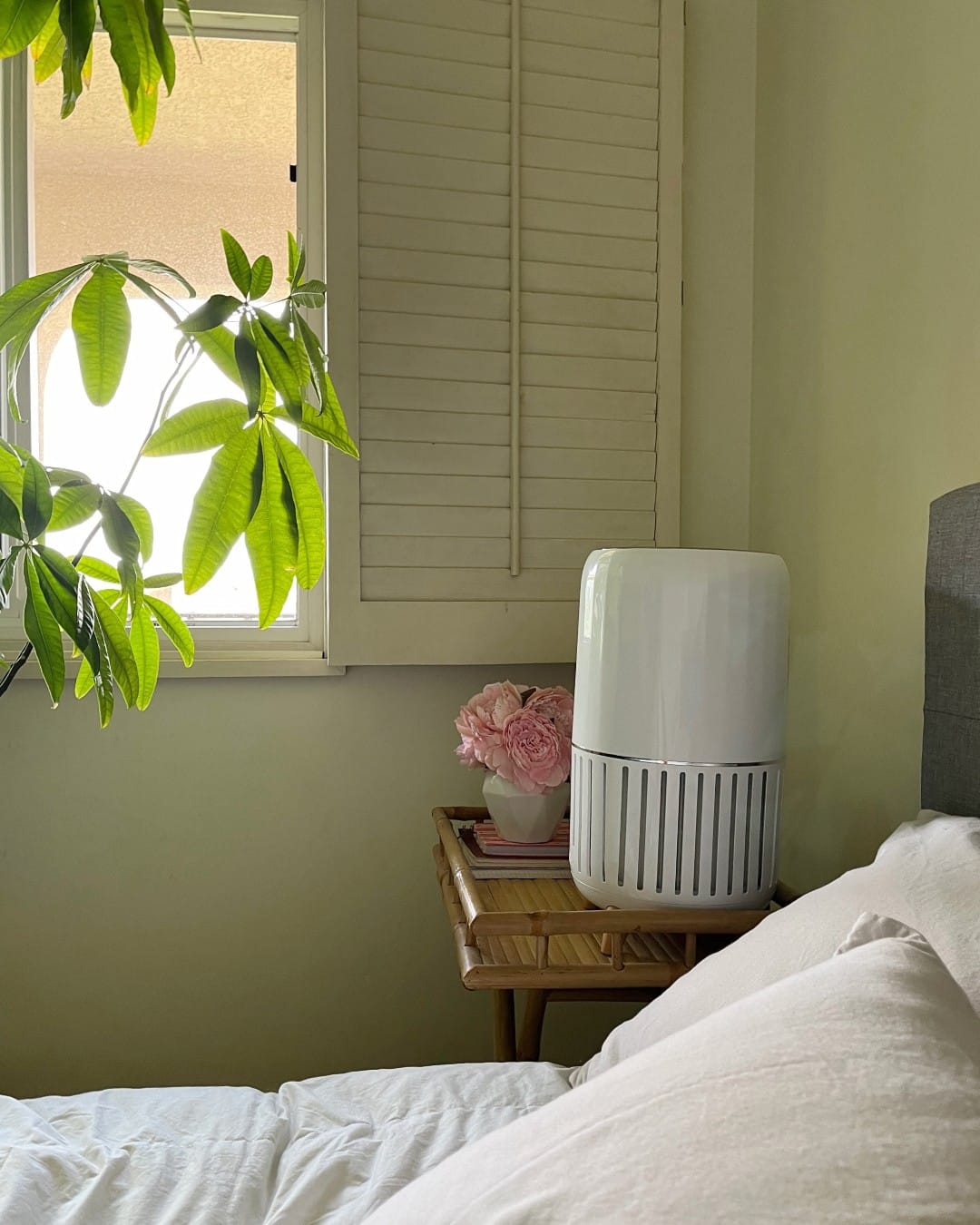 aloe vera and lavender on nightstand