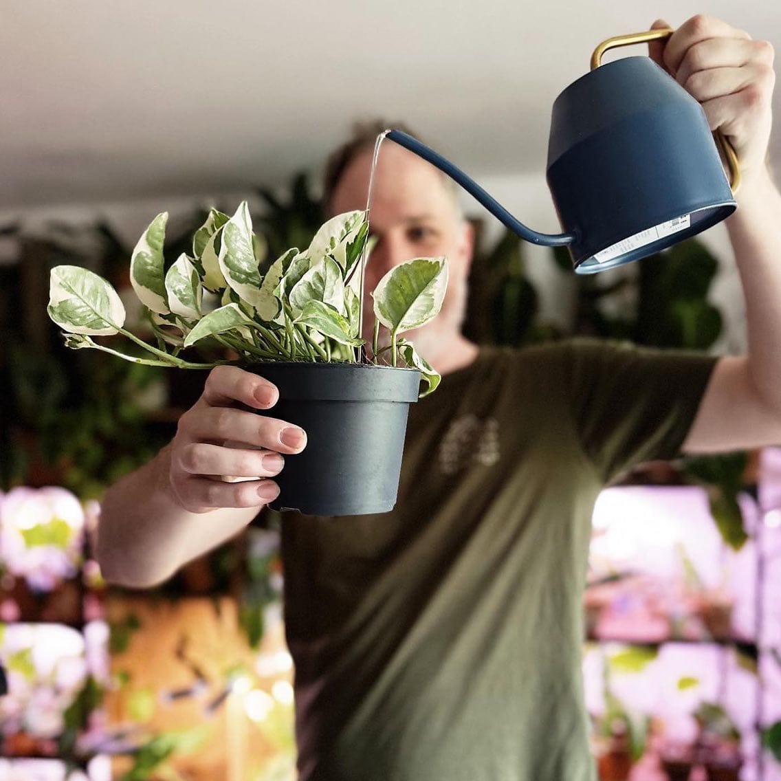 indoor automatic watering system setup