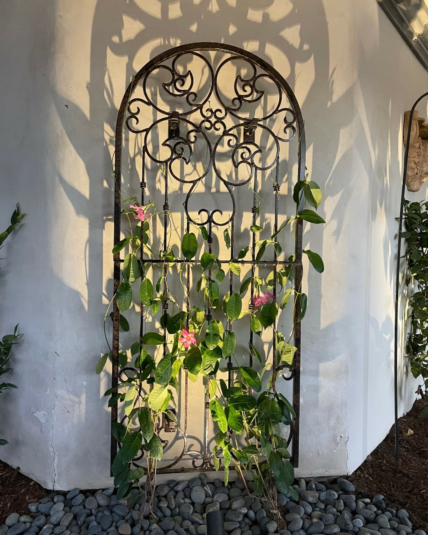 wooden trellis with vines