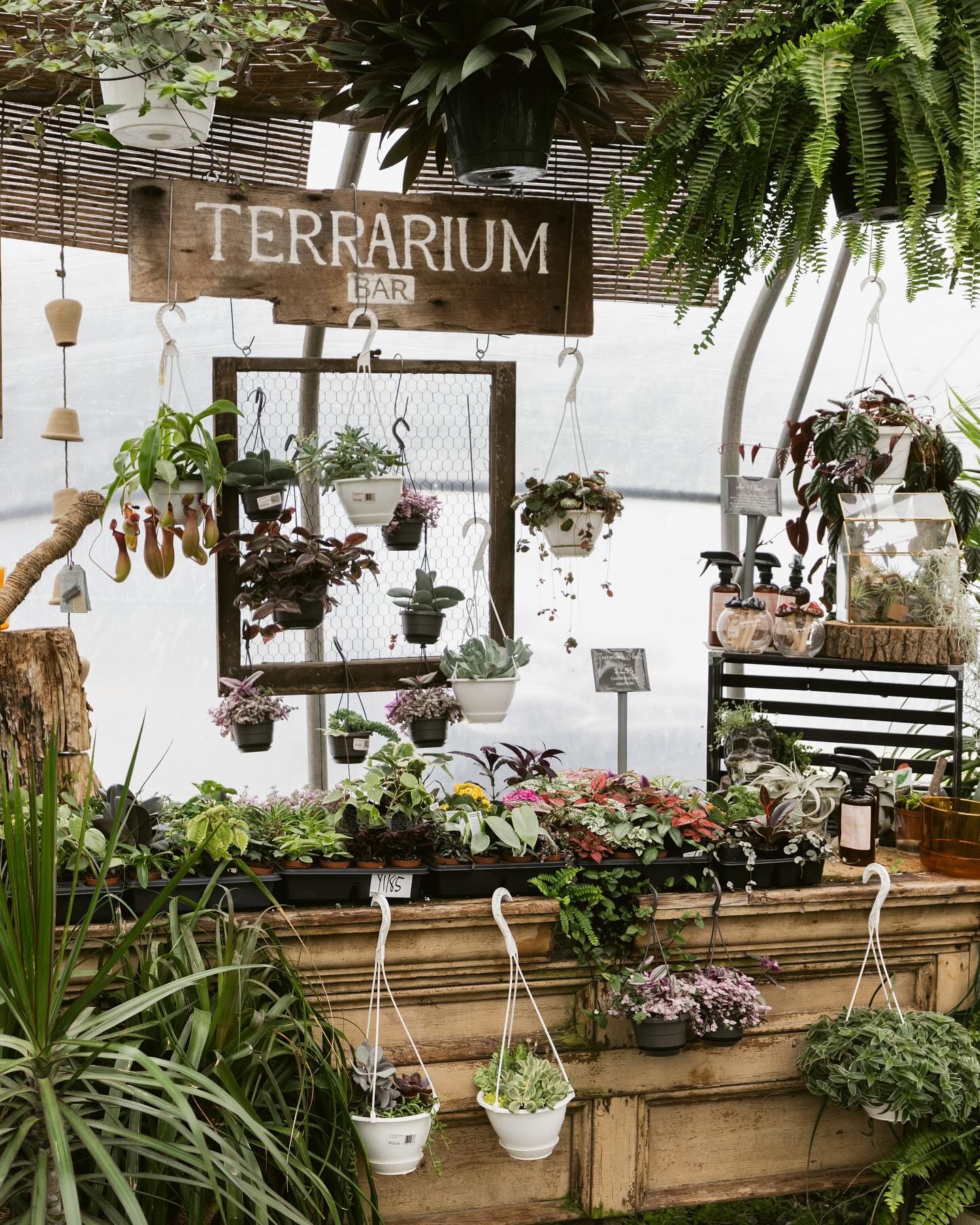 wall-mounted plant pots on balcony