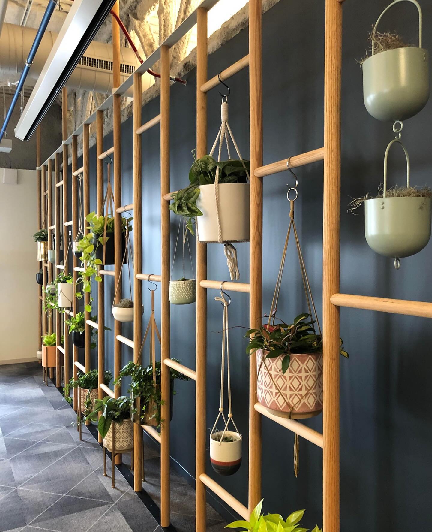 hanging plant curtain with macrame holders
