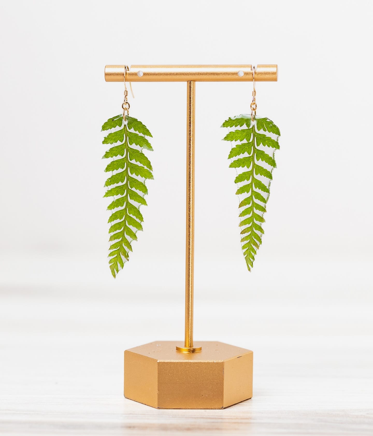 delicate ferns in clear resin