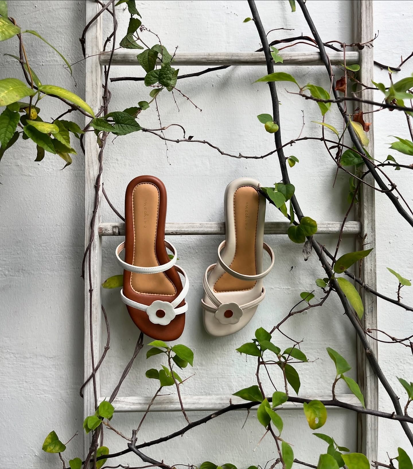 bamboo tubes with plants