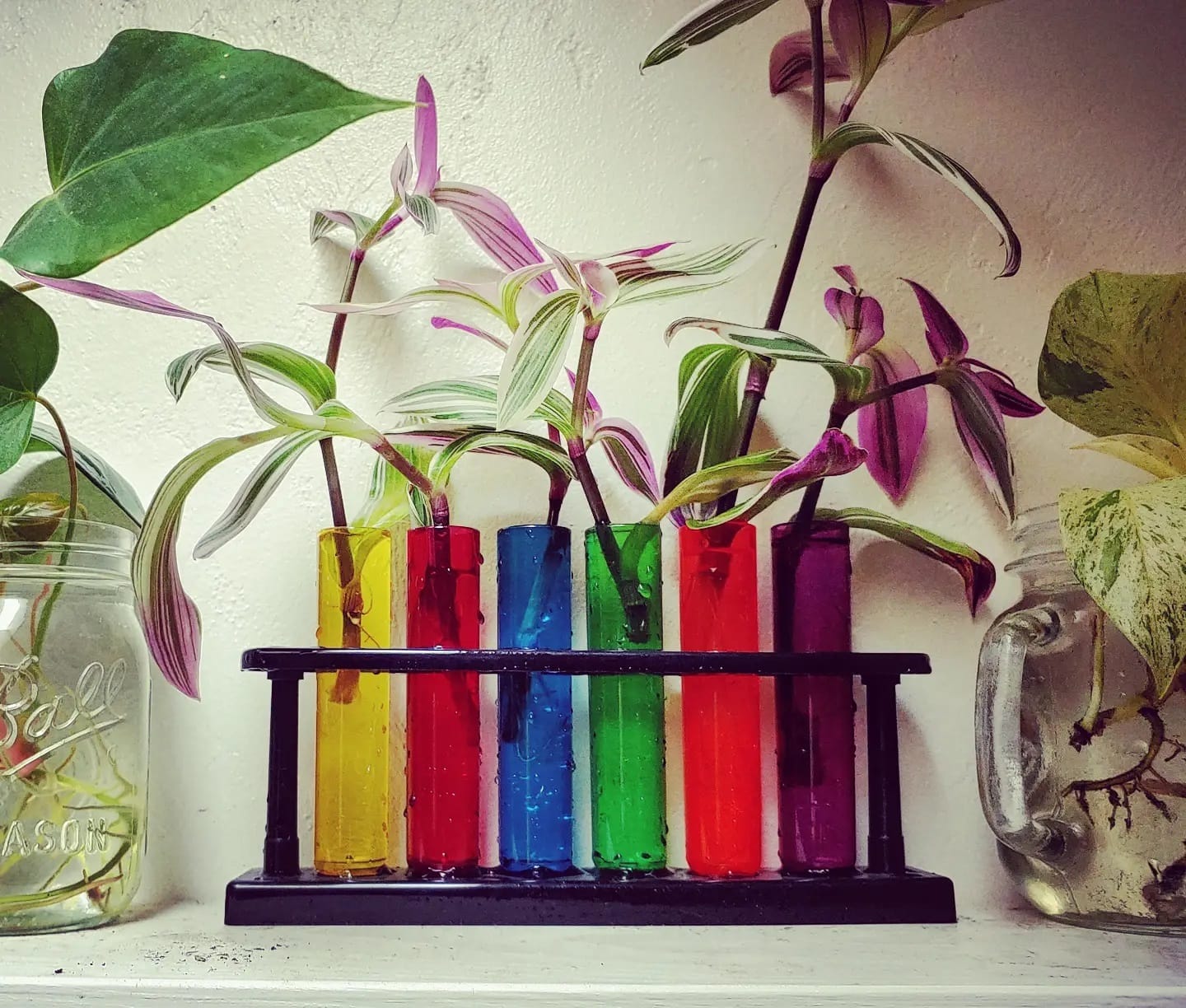 seasonal decor swaps with wall-mounted test tubes