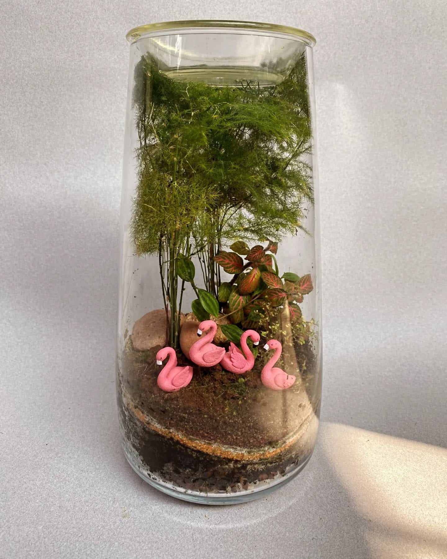 tropical plants in large bottle