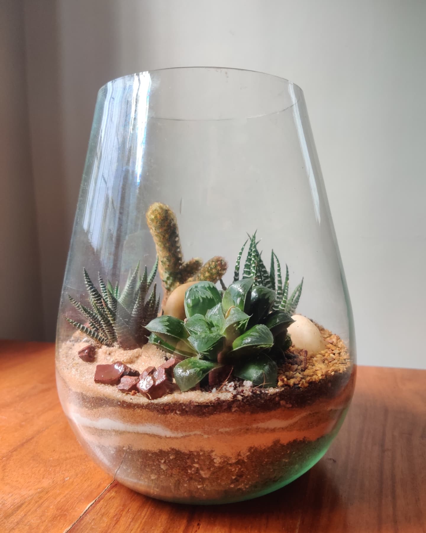 cactus varieties in bottle garden