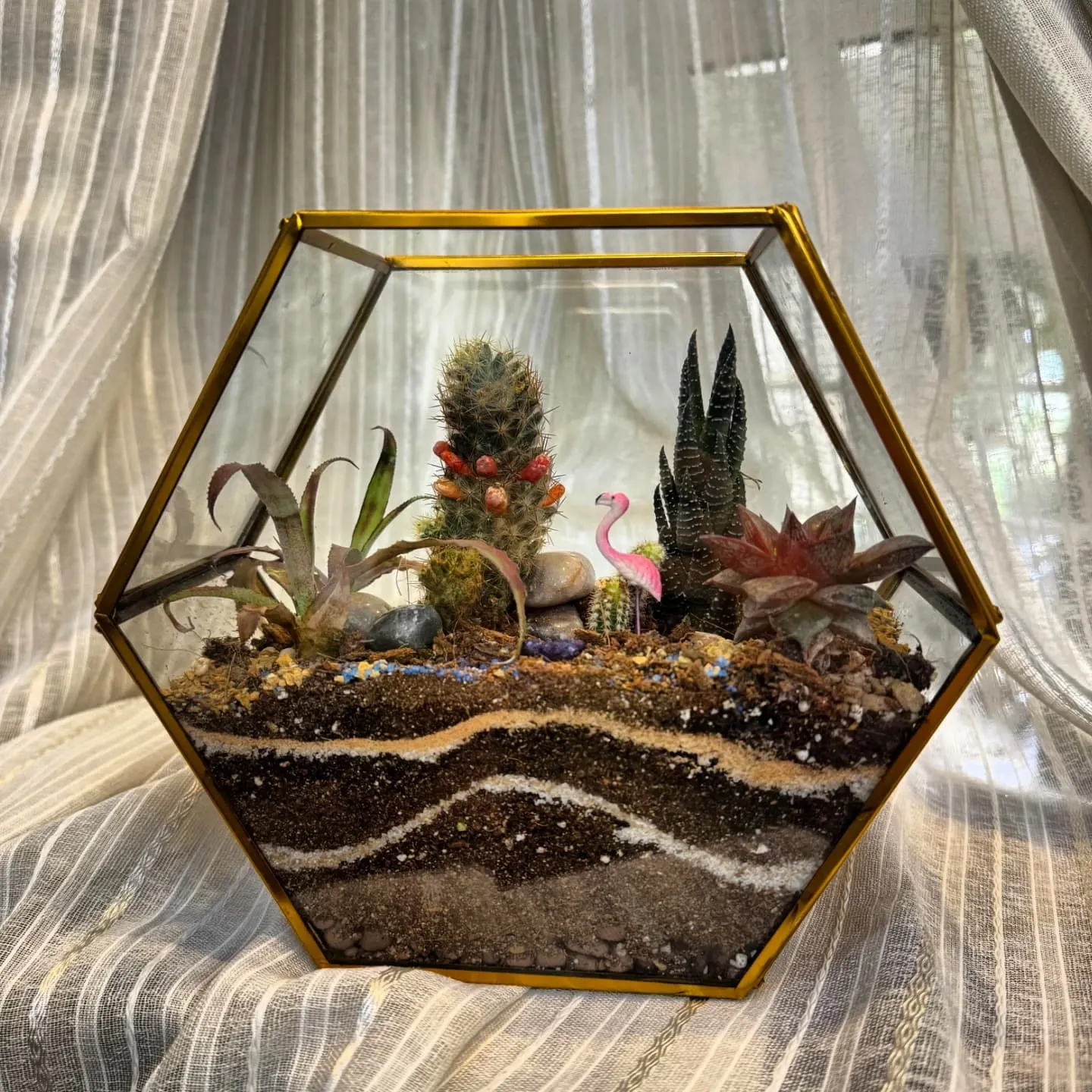 air plant in mason jar
