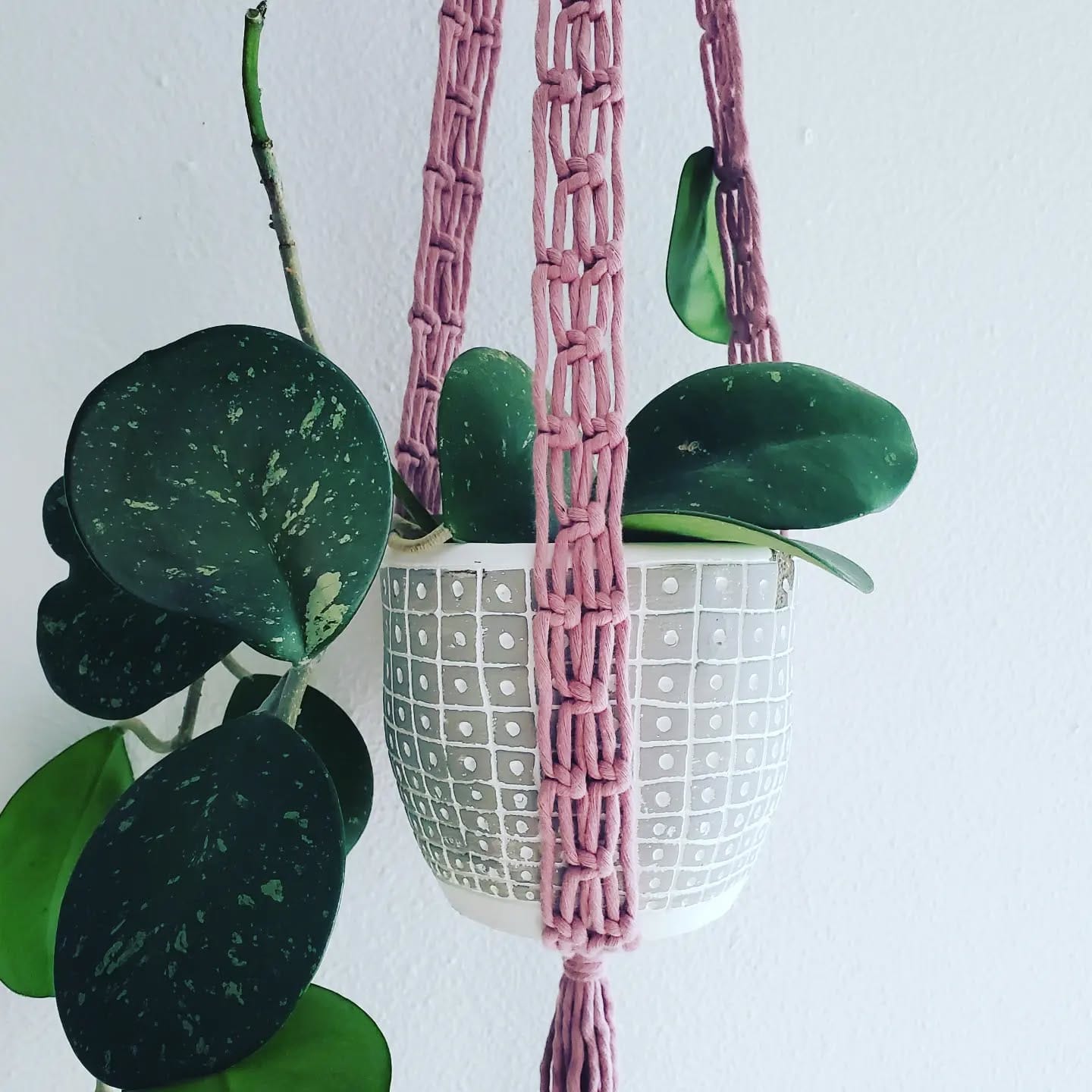 hanging planter with stones