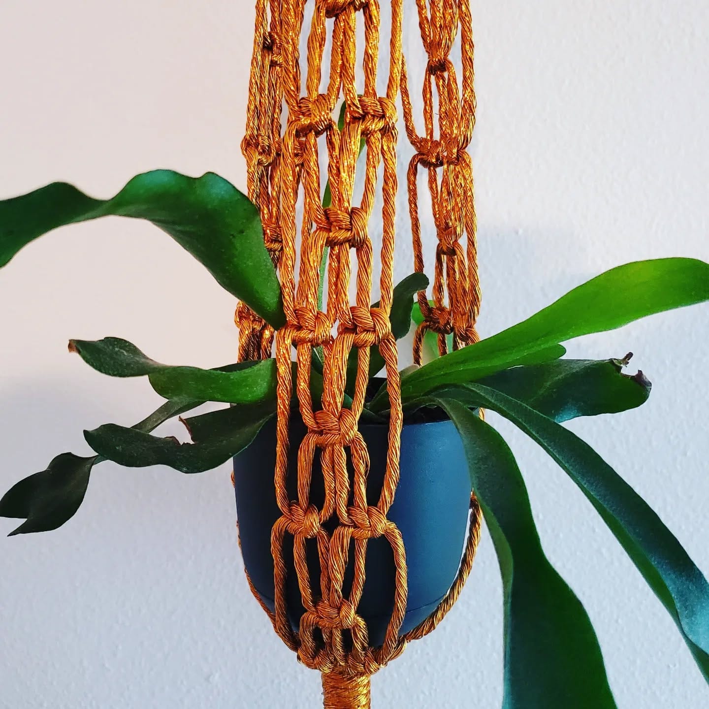 multi-tiered macramé plant hanger