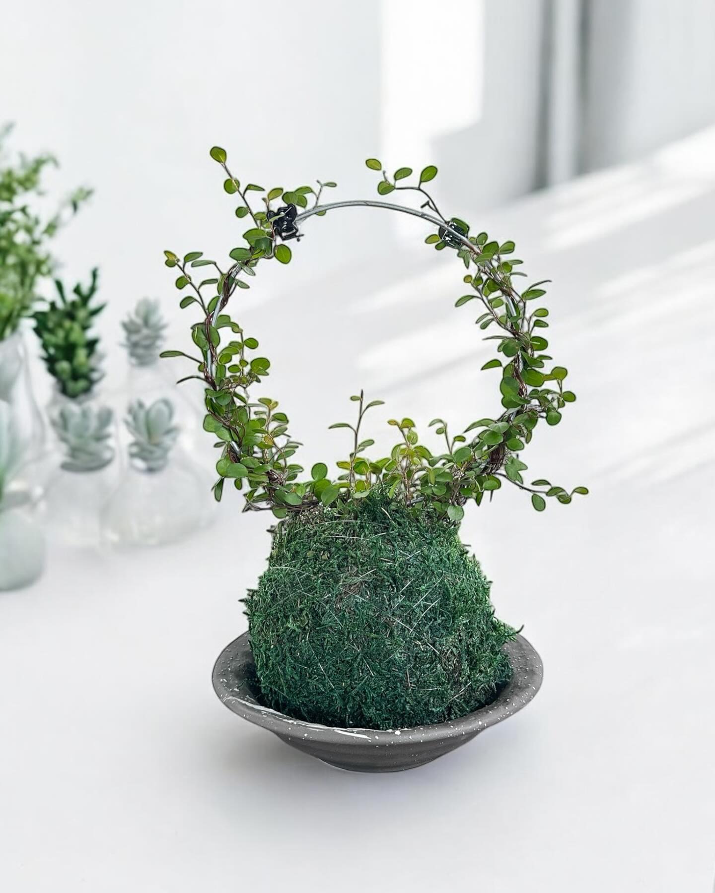 seasonal kokedama arrangement