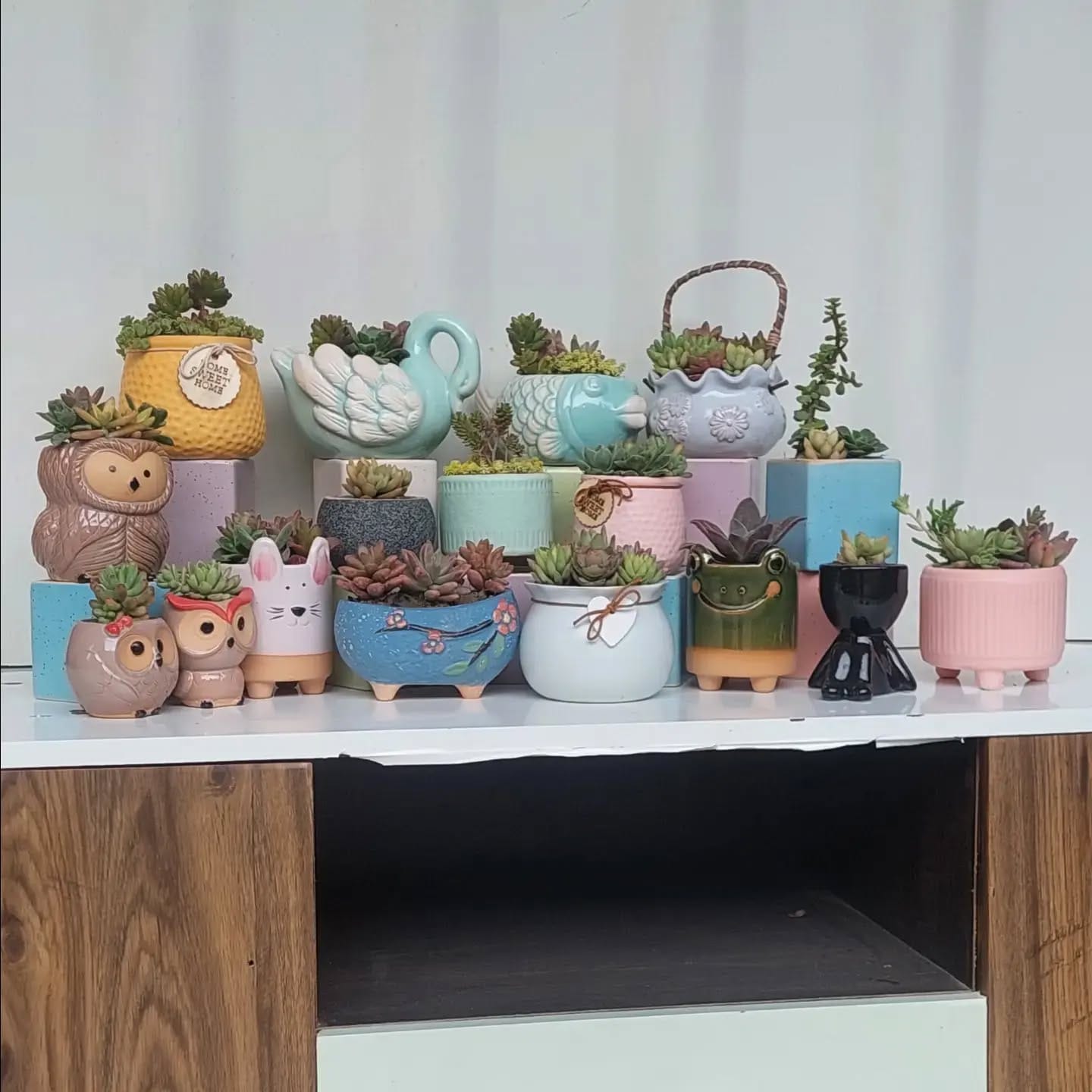 varied ceramic pots on tiered shelf