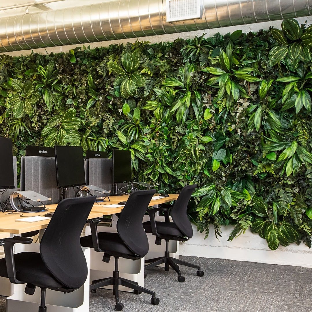 leaf vein illuminated office partition