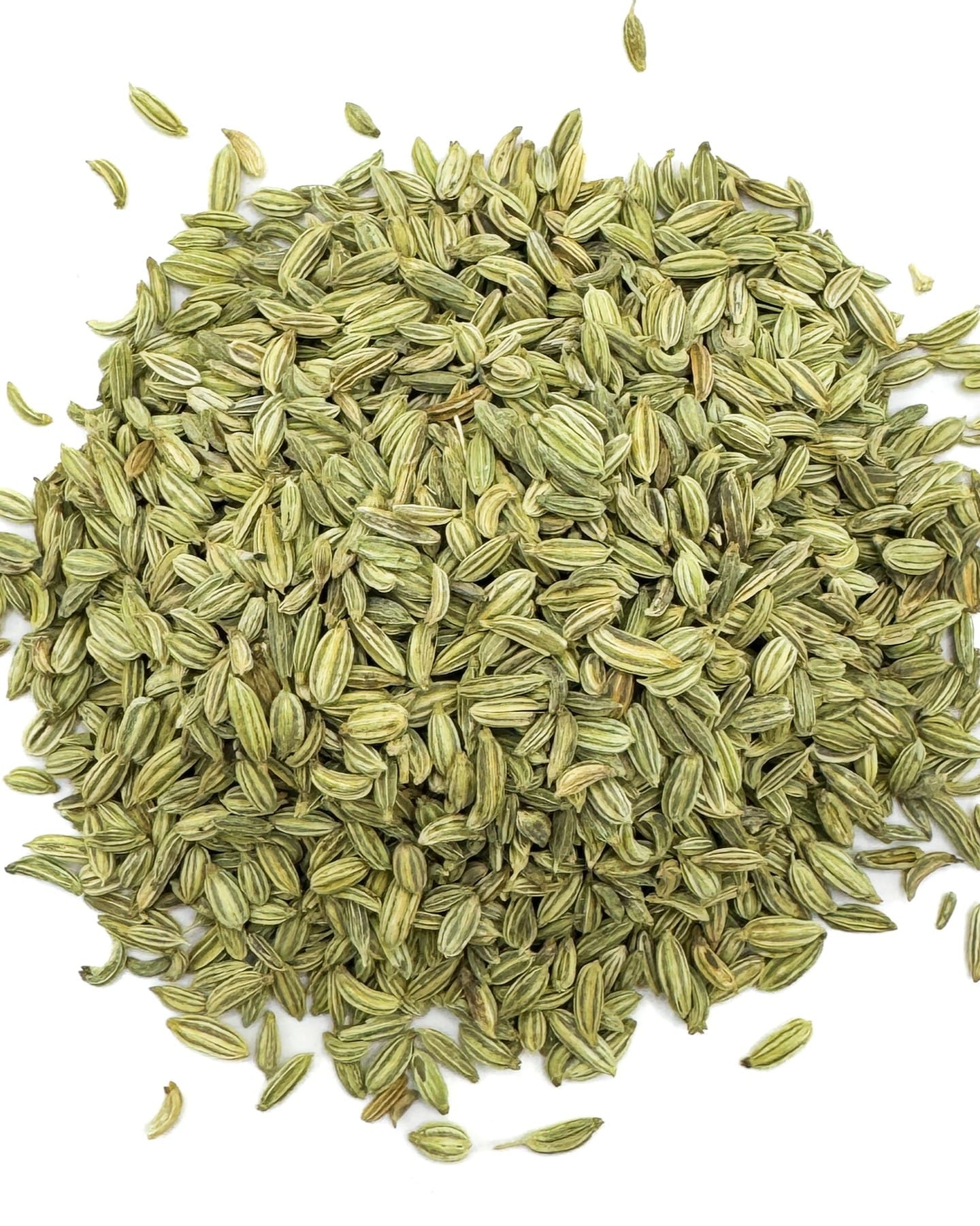 fennel fronds in a ceramic jug