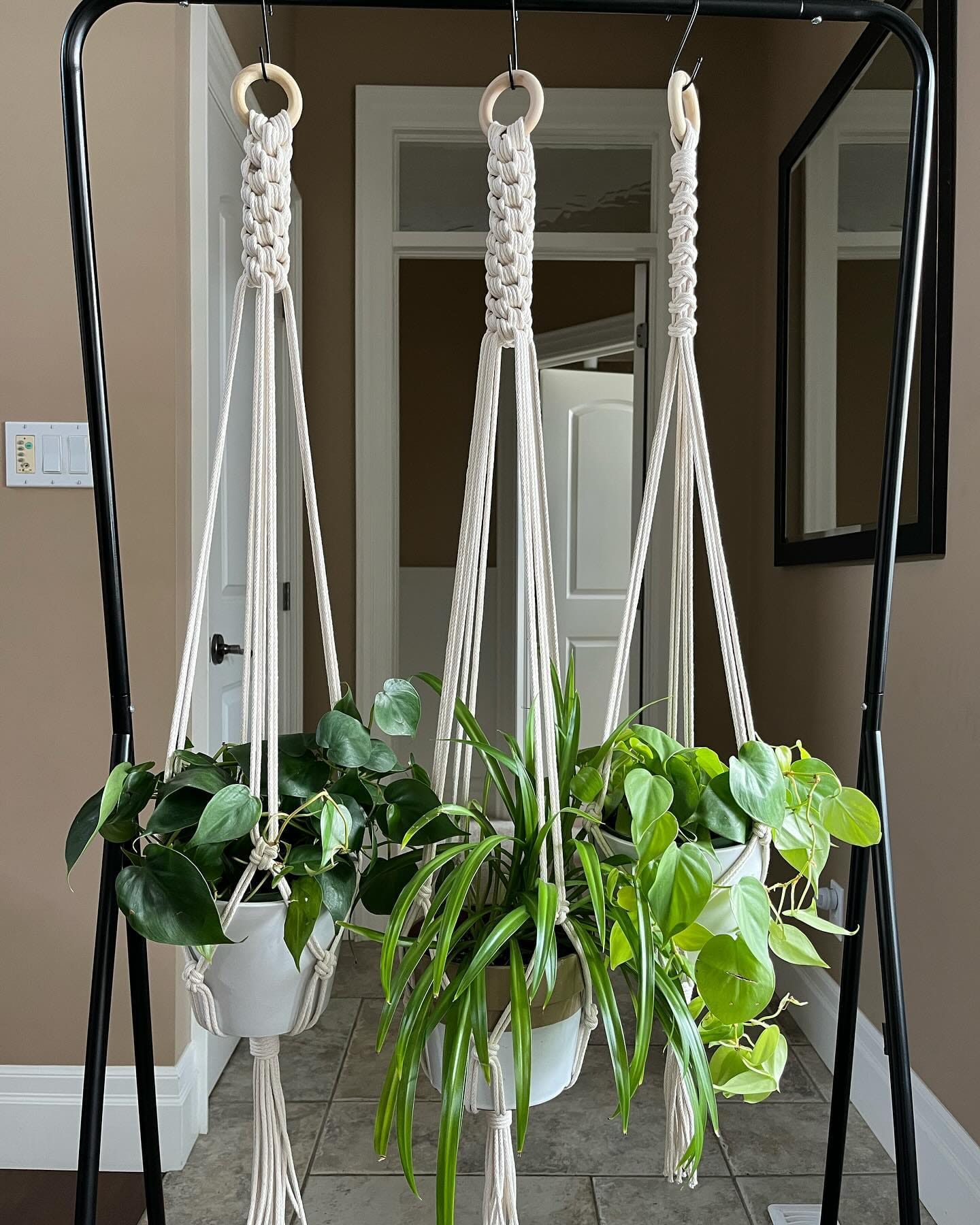 recycled glass chandelier with air plants