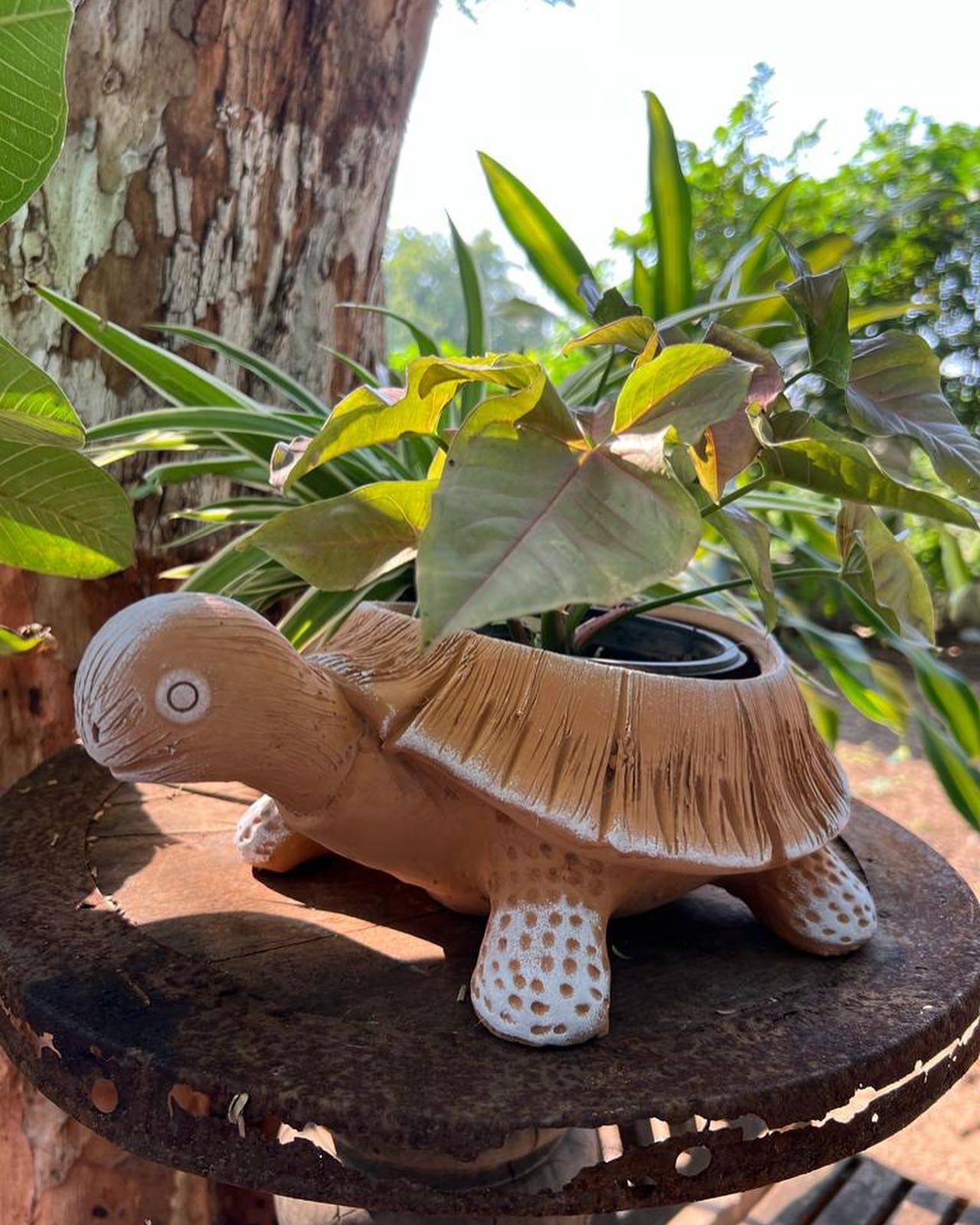 animal-shaped plant pots with succulents