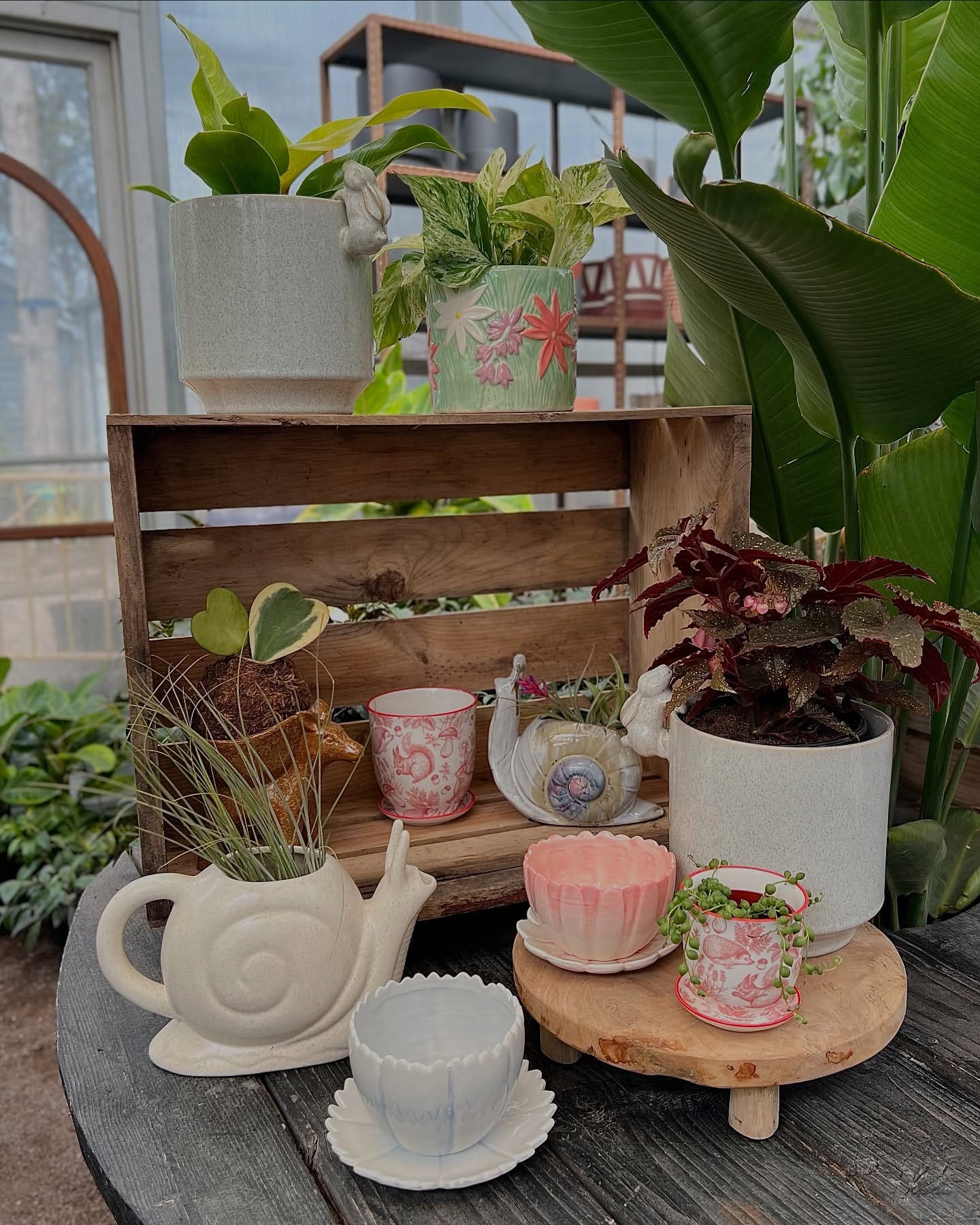 balcony with teapot planter