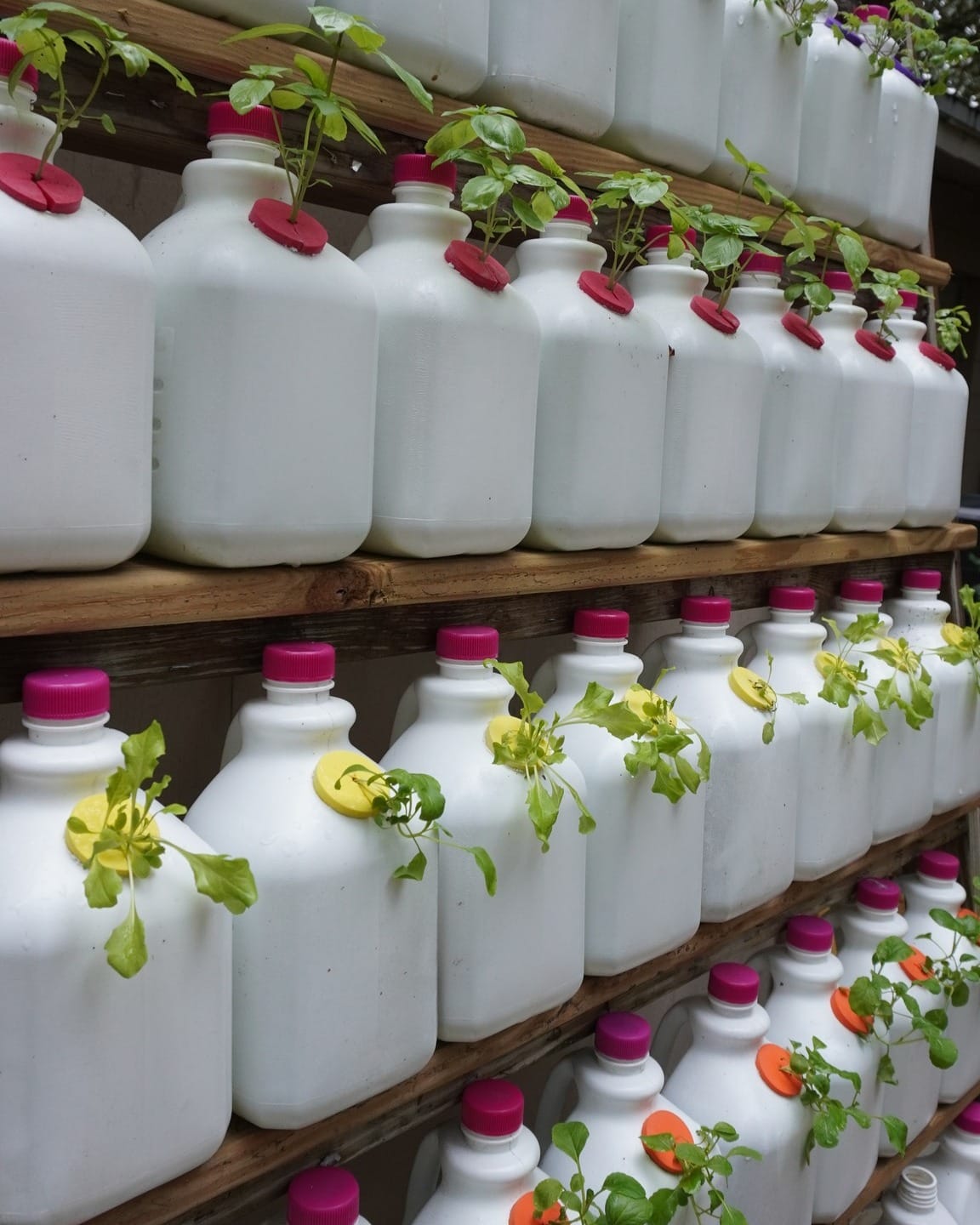 plastic bottles used in hydroponics