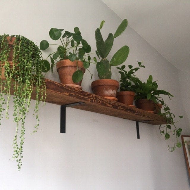 reclaimed wood mantel with plants