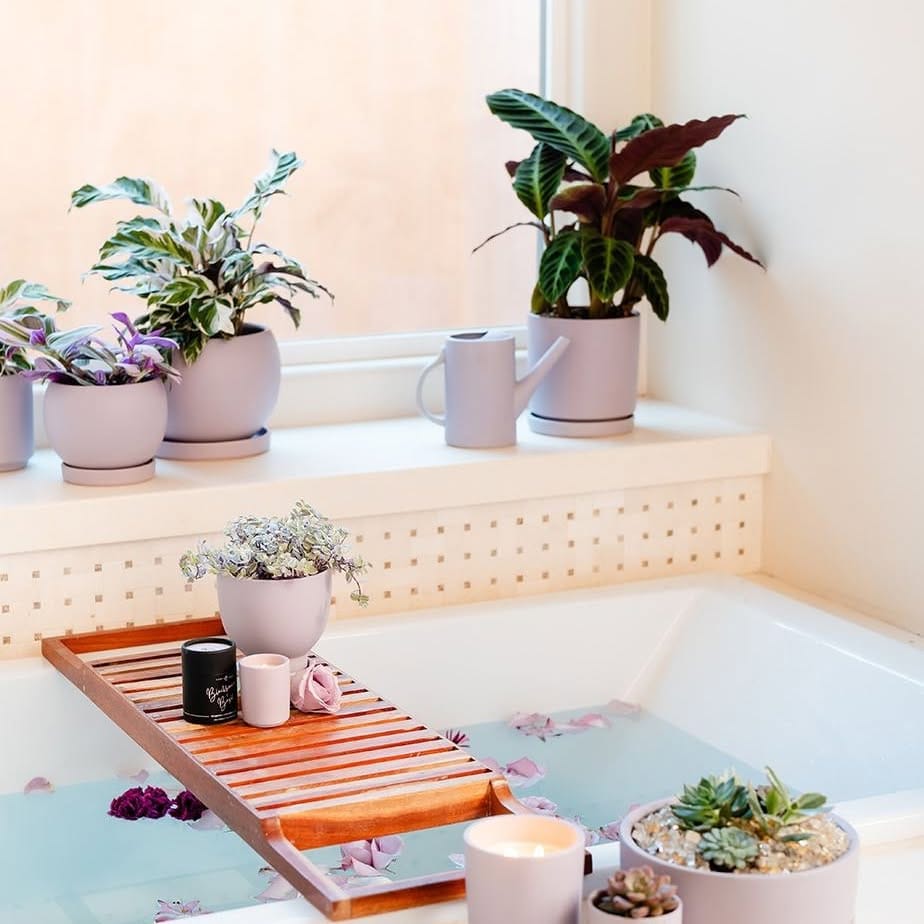 lavender-filled bathtub planter