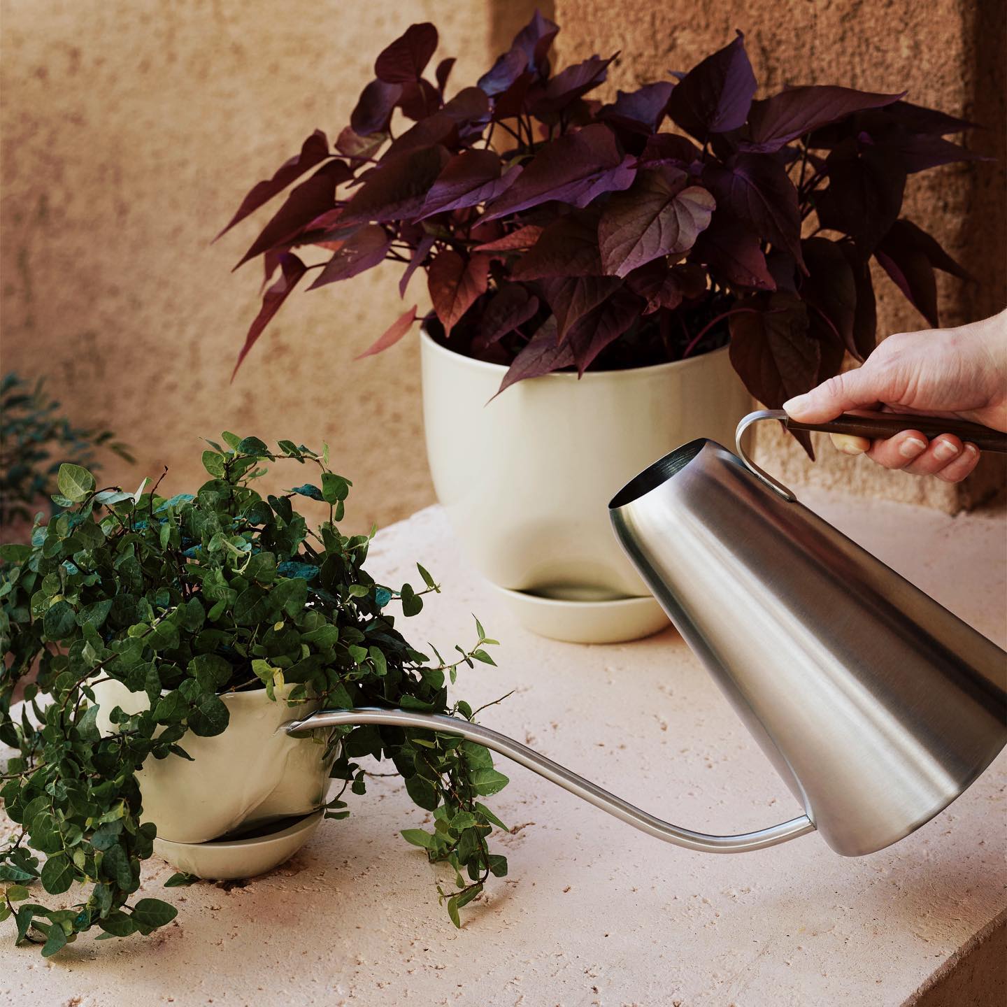 long spout watering can on shelf