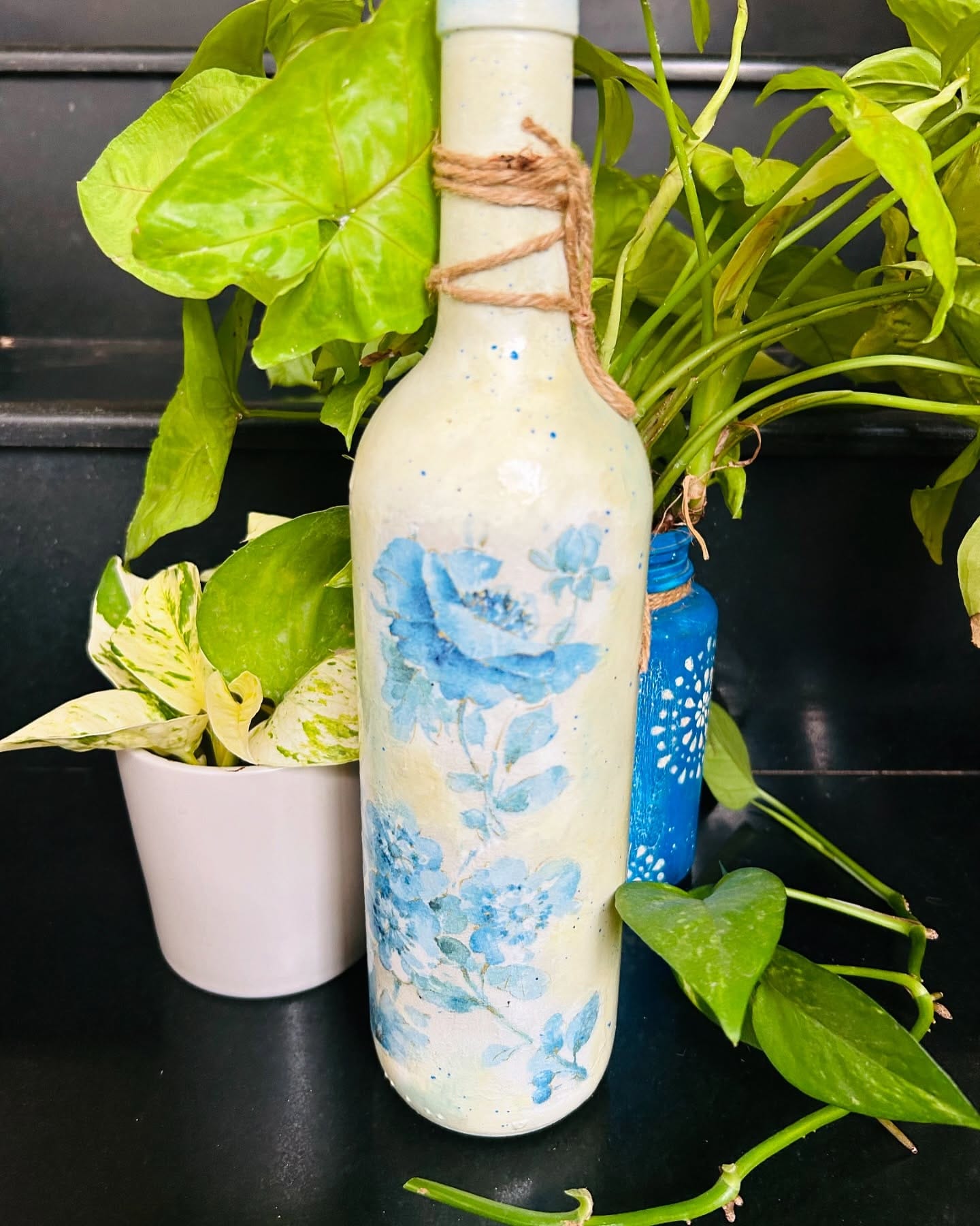 herbs growing in clear glass bottles