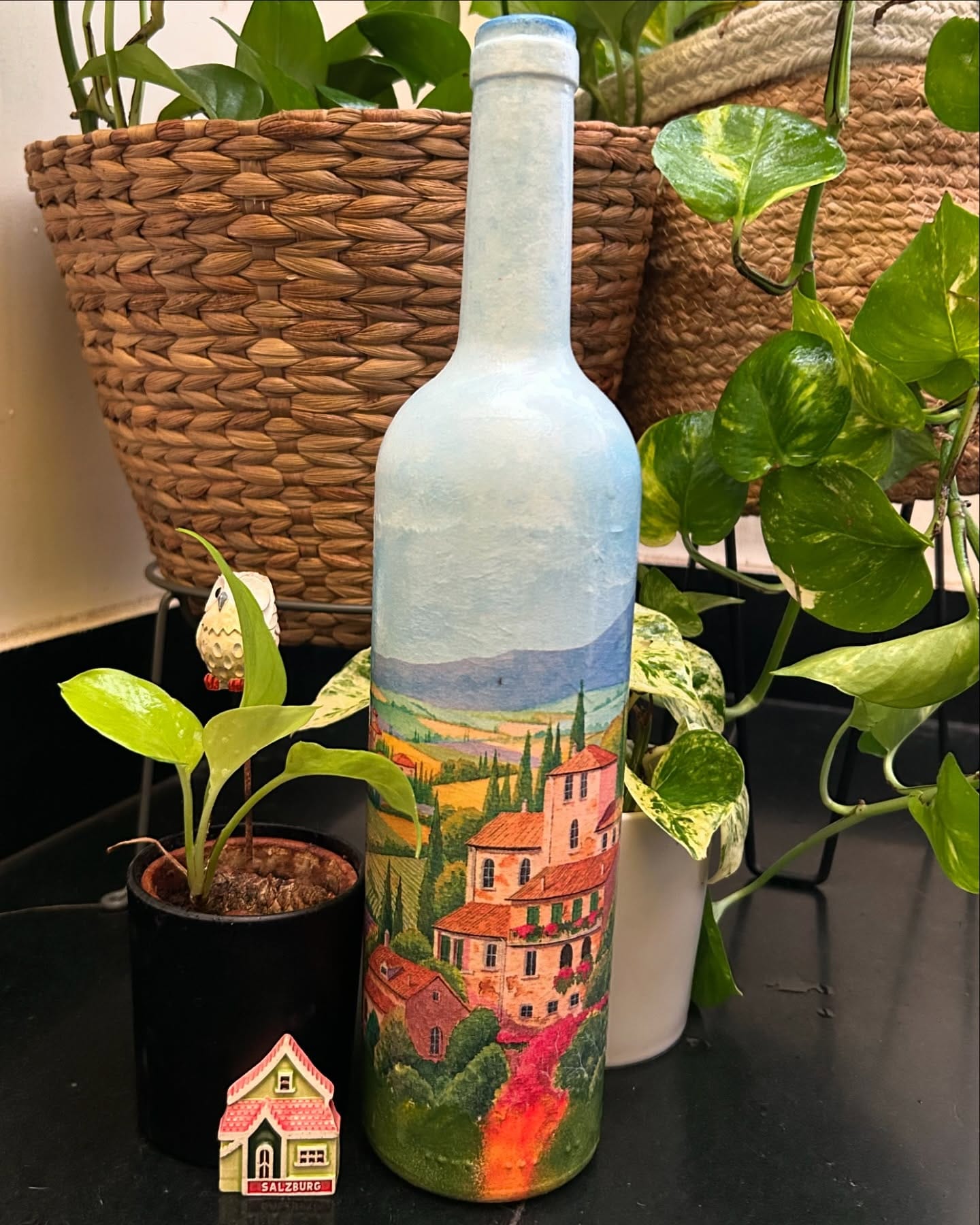 plant cuttings in upcycled wine bottles