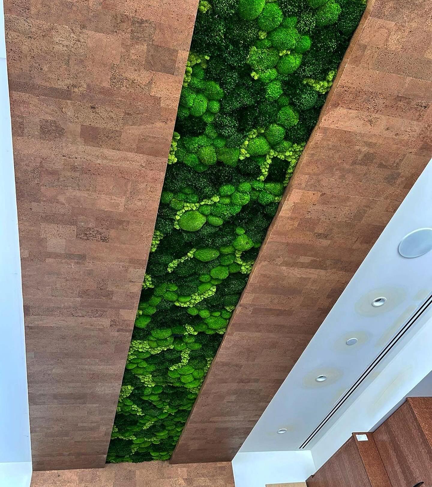 ceiling adorned with moss patterns