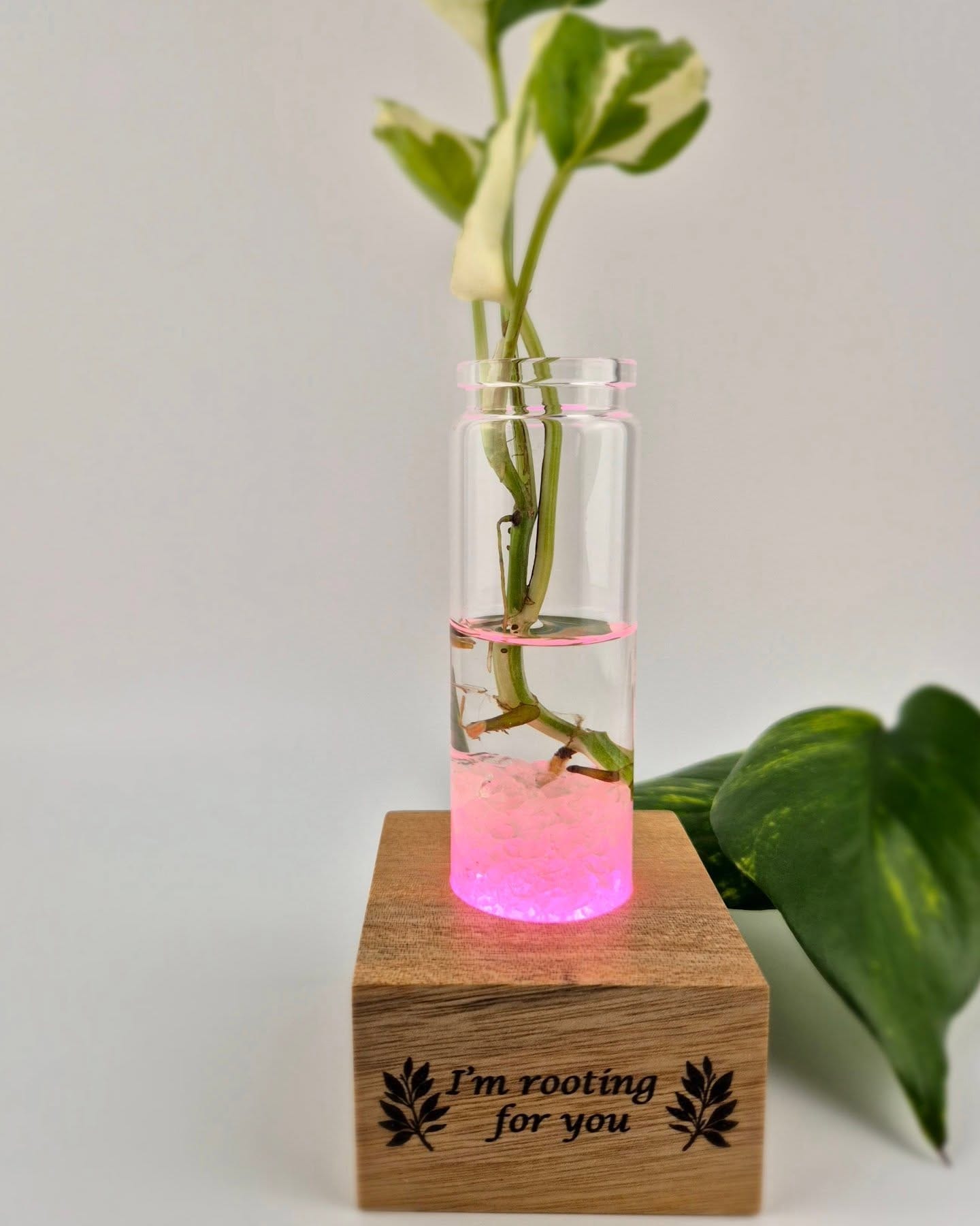 artistic light installation with wall-mounted test tubes