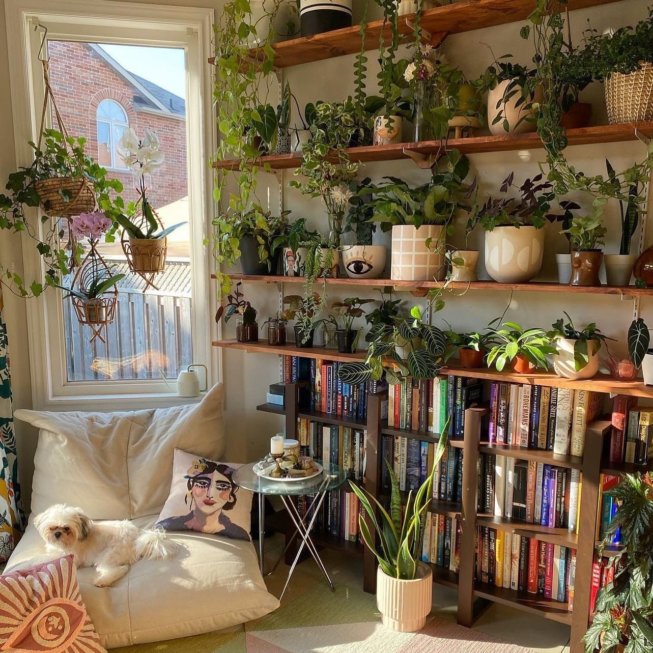 leaf vein illuminated bookshelf