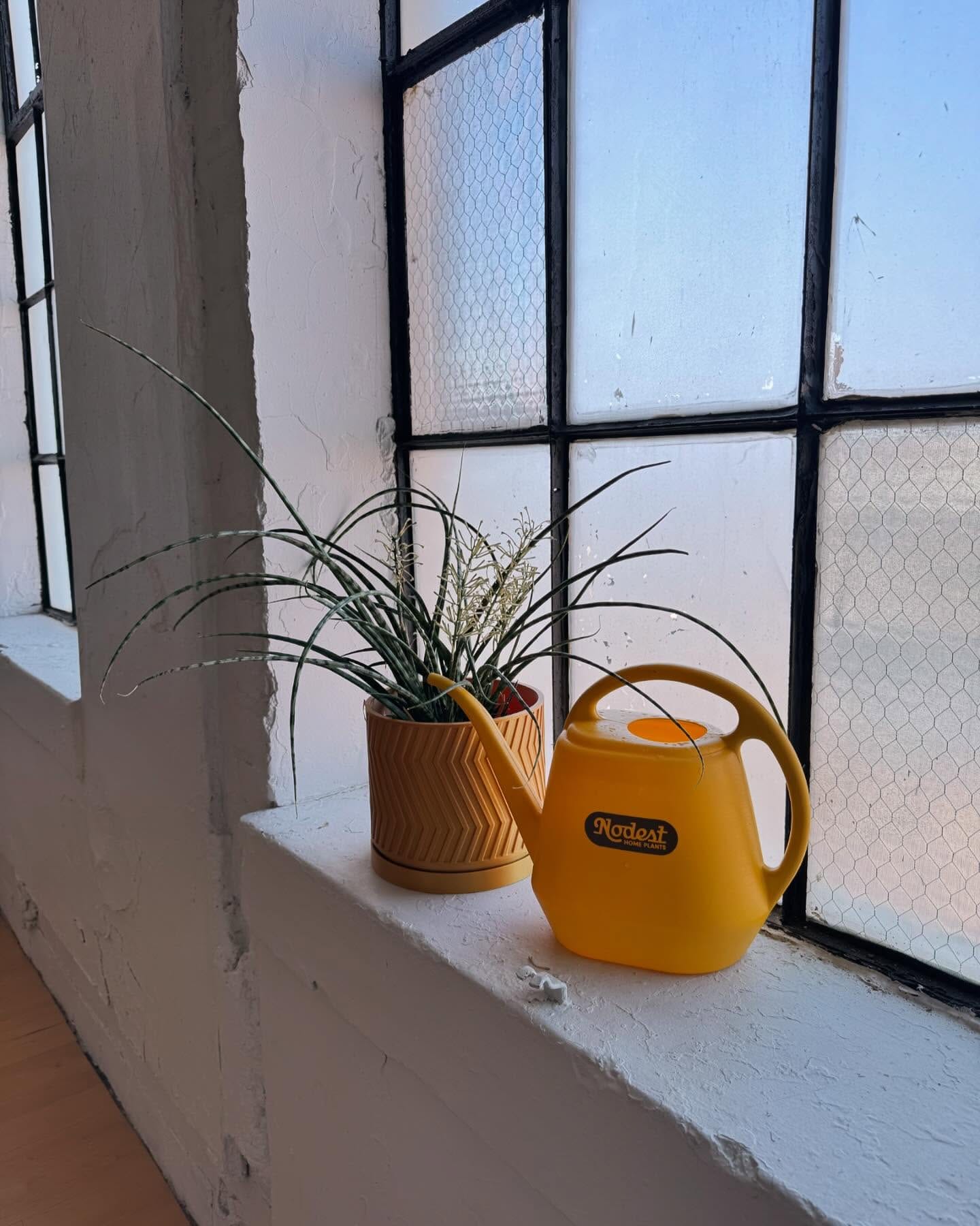 watering can on a schedule