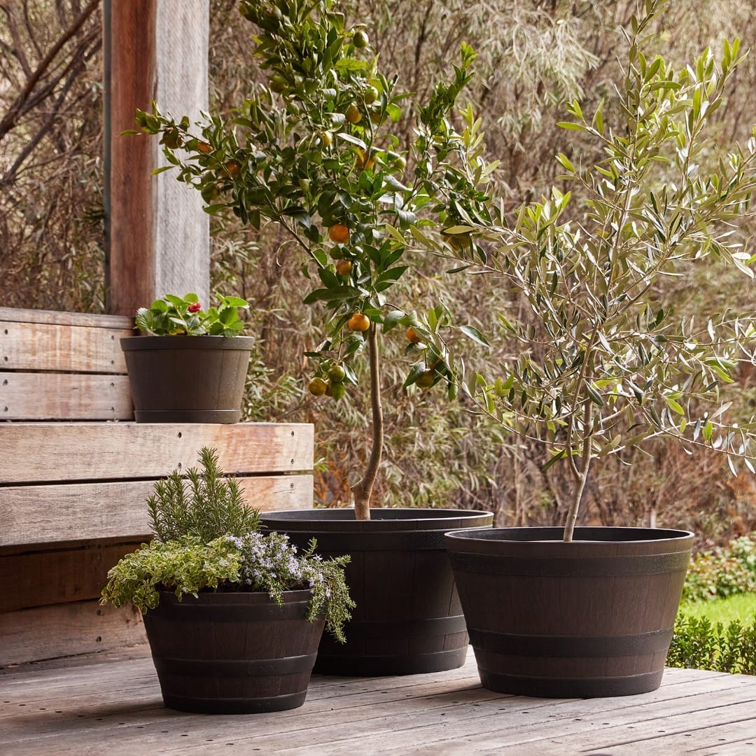 barrel planter with drainage holes