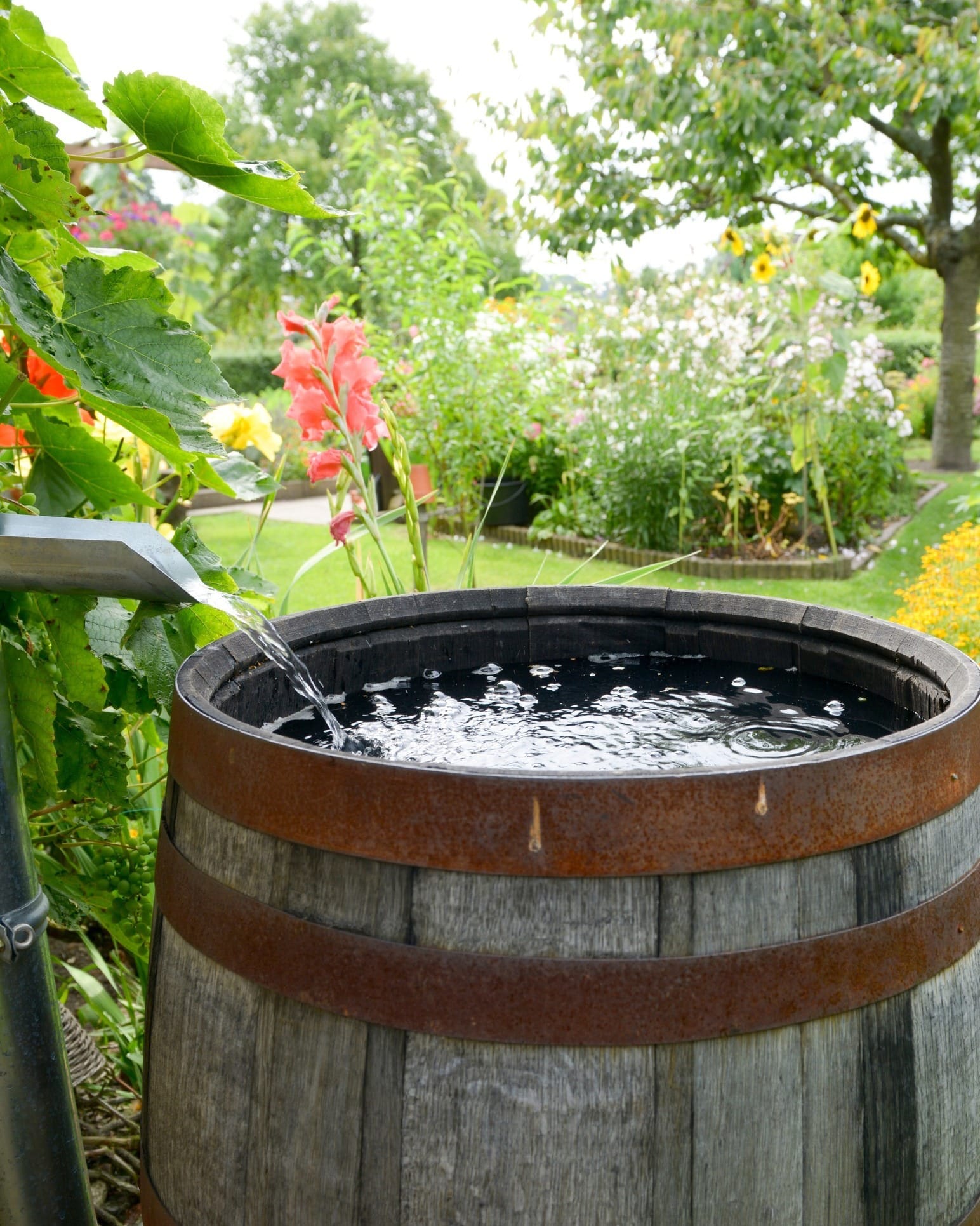 recycled wooden barrel planter