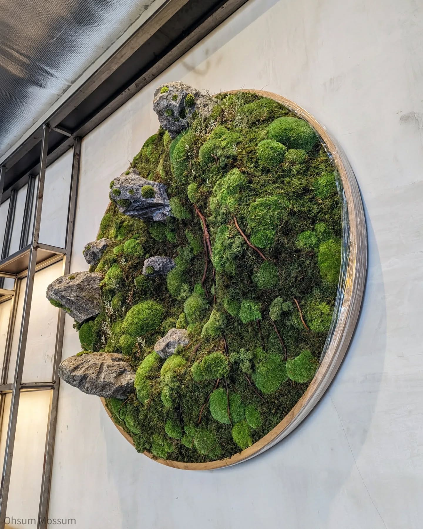 moss terrarium on bookshelf