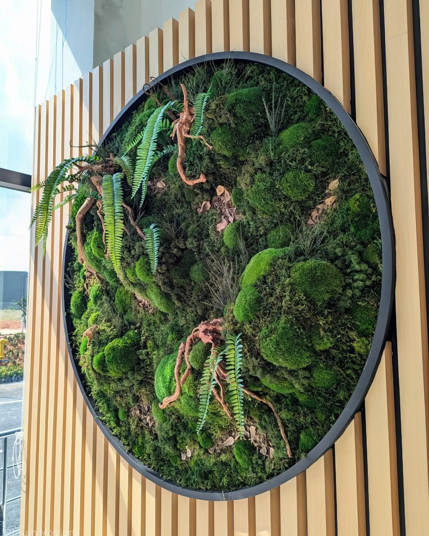 preserved moss wall in living room