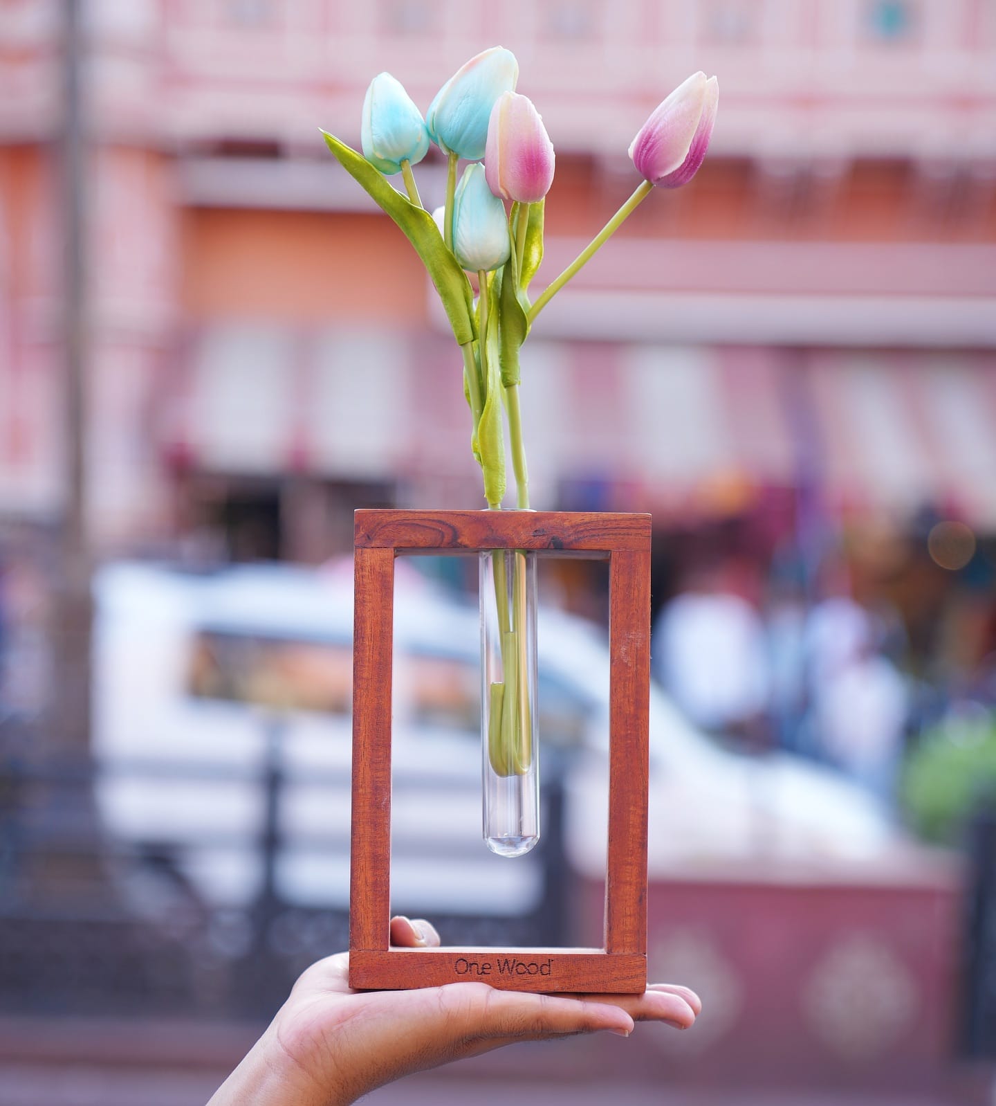 creative craft organizer with wall-mounted test tubes
