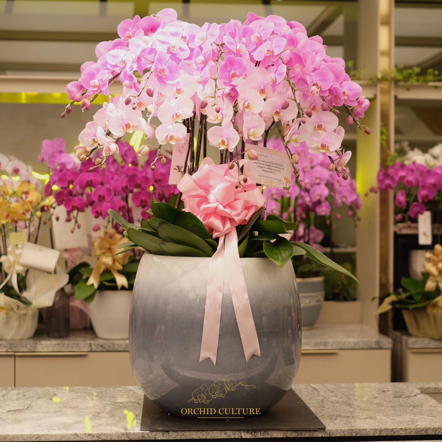 malachite with orchid in dining area