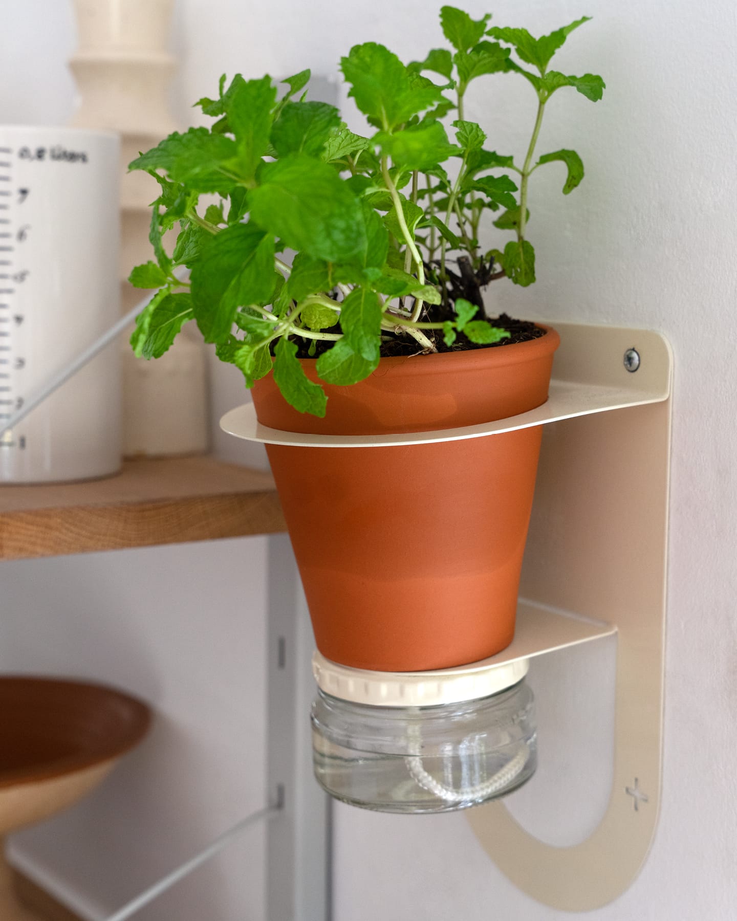 wall-mounted tin can herb garden