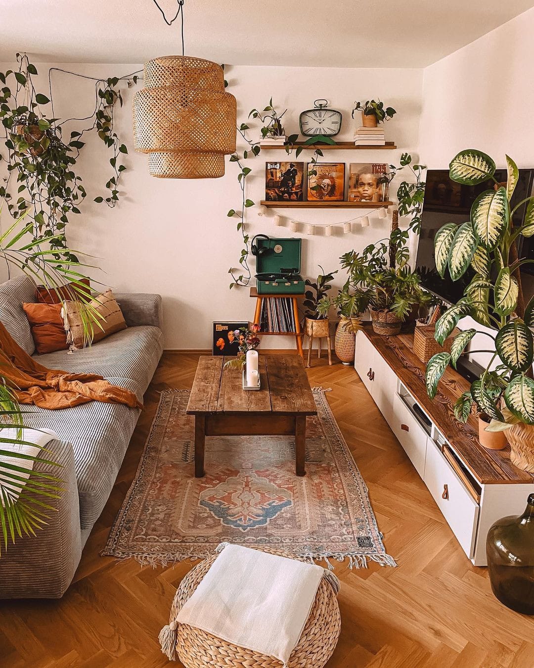 bohemian rug with eclectic plant mix