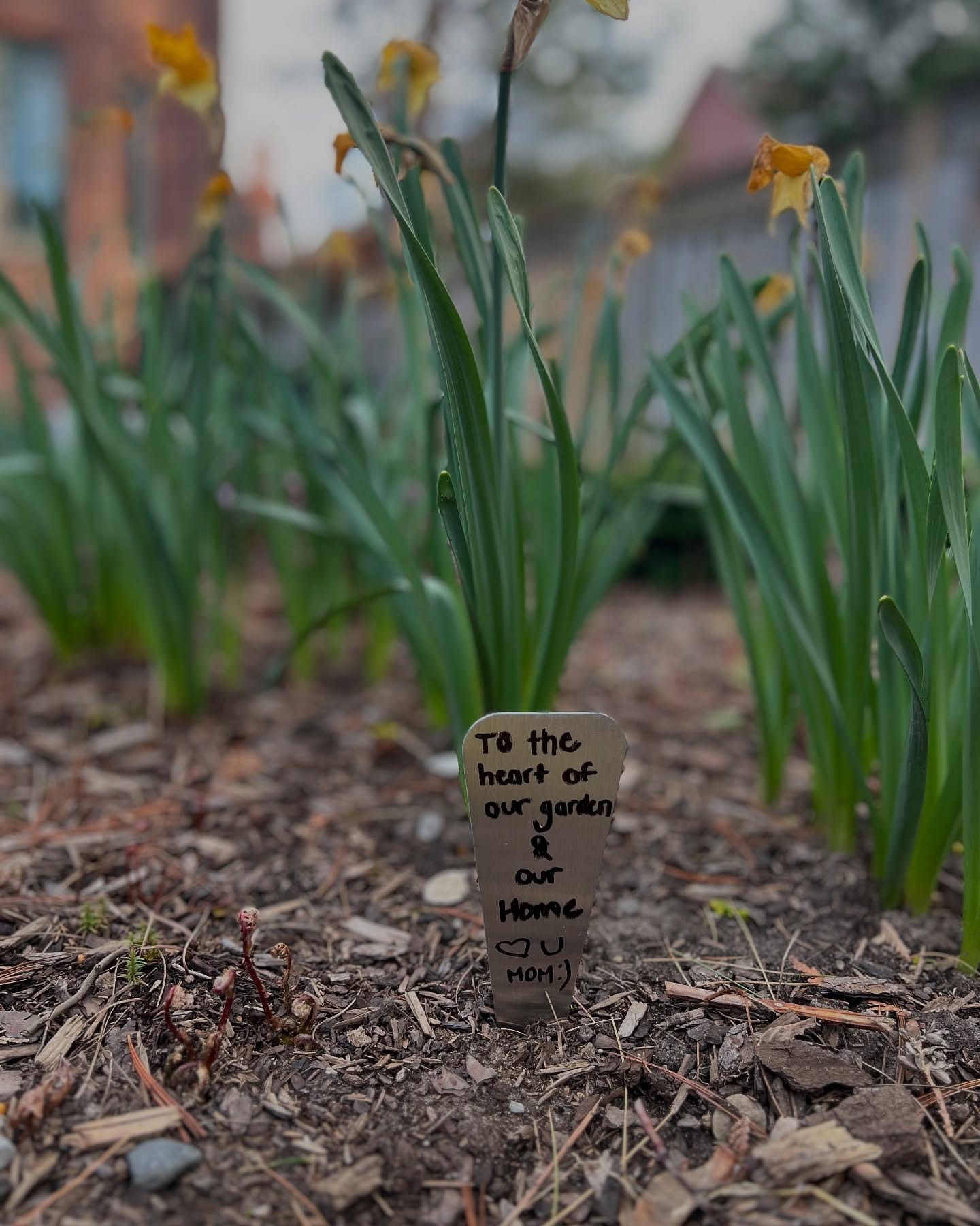 colorful plant labels in garden