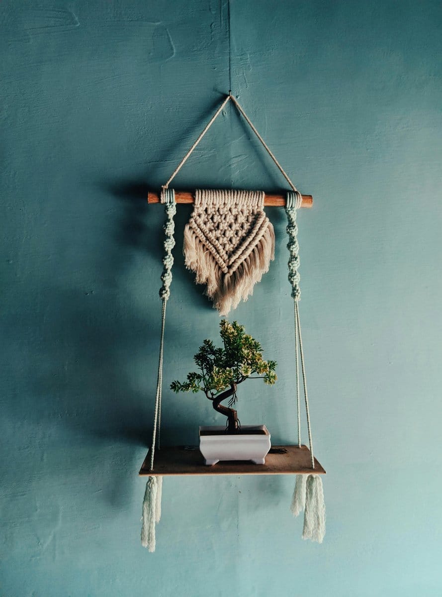 bonsai tree on sunroom shelf