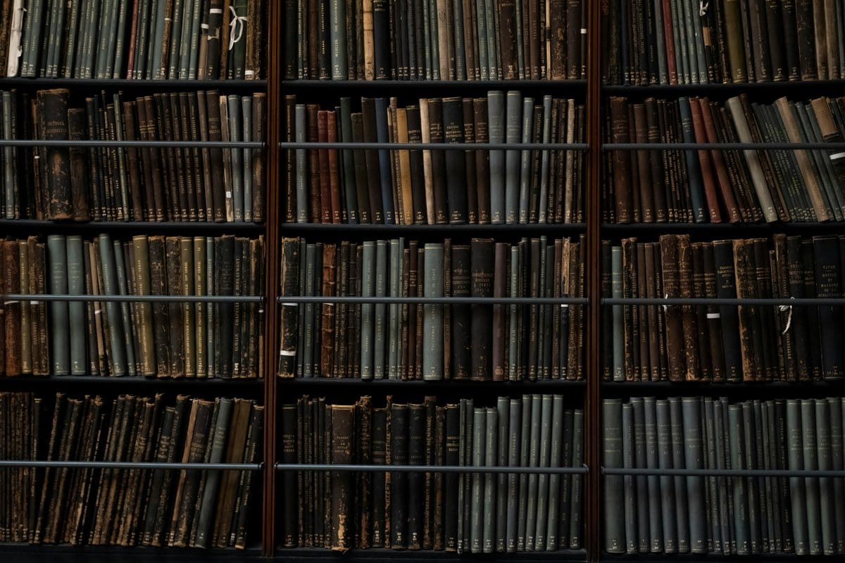 Curated saffron-themed bookshelf