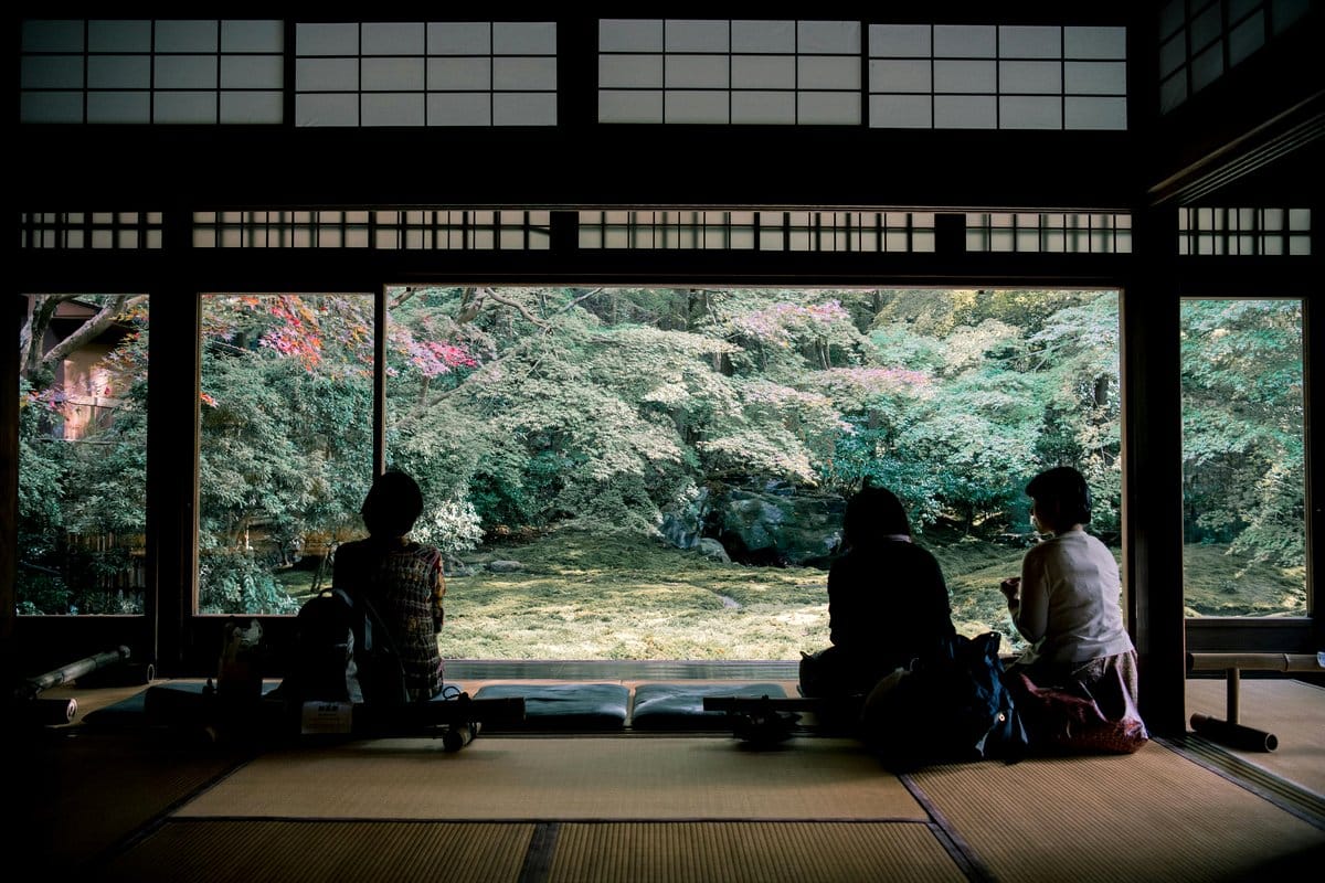 meditation mat surrounded by bamboo plants
