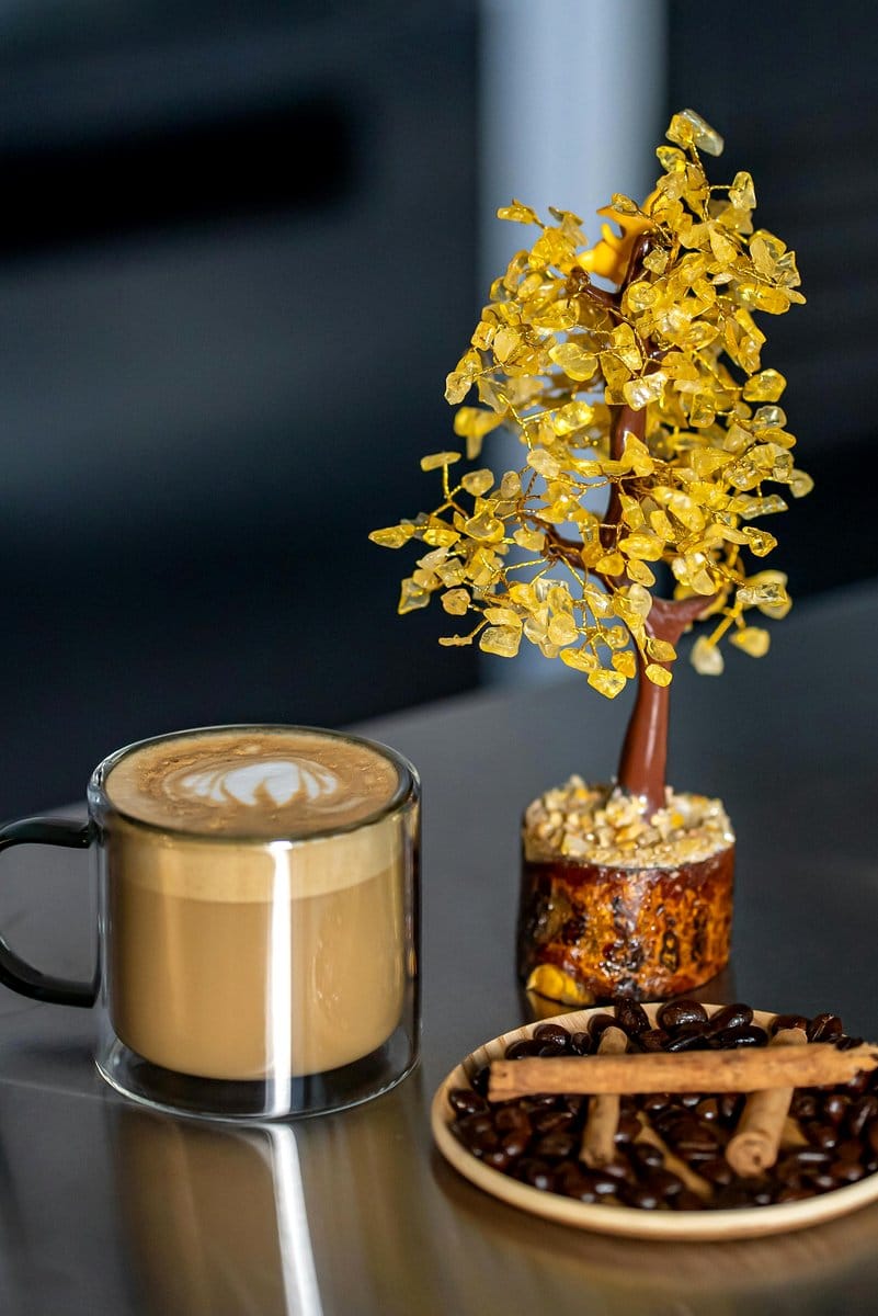 bonsai on coffee table