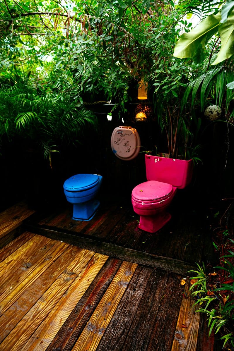 bathroom with tropical plants