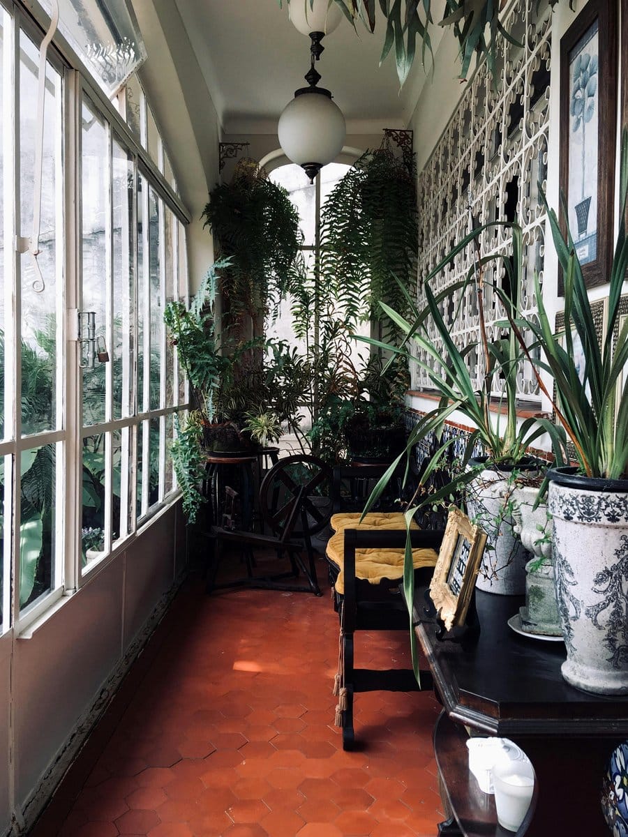decorative planters in sunroom