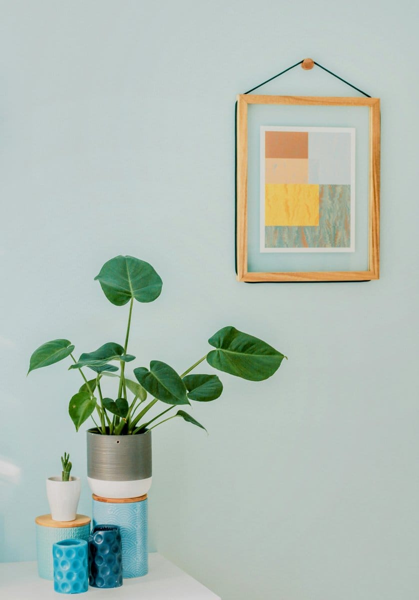 Set of neutral-toned plant pots