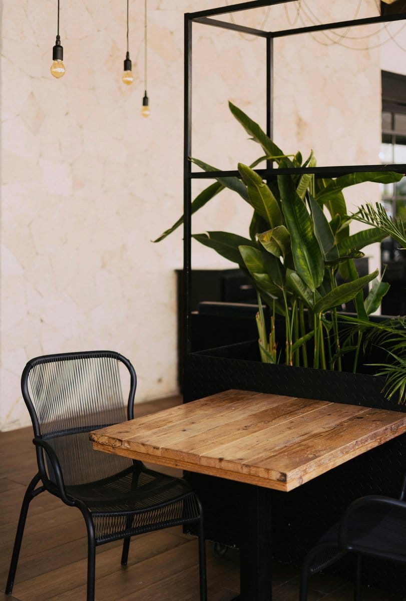 conference room with hanging plants