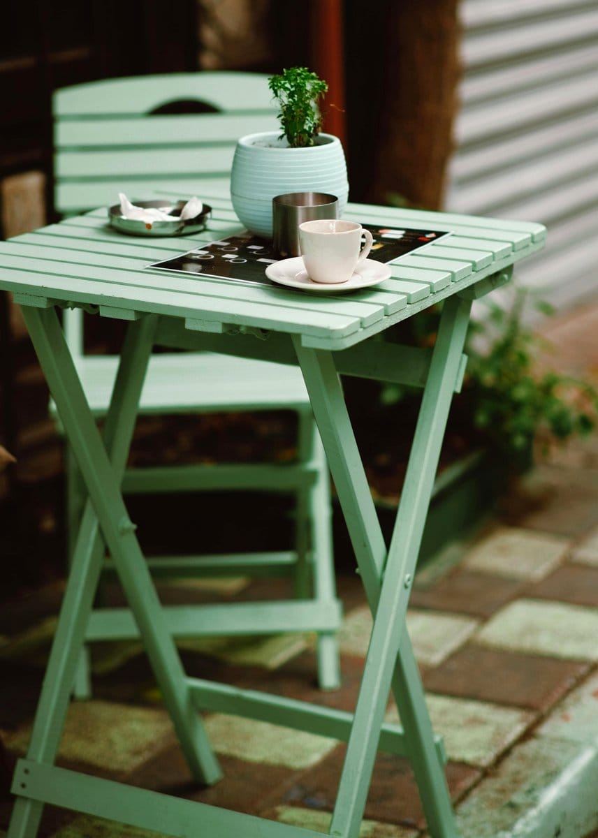 mint plant in rustic pot