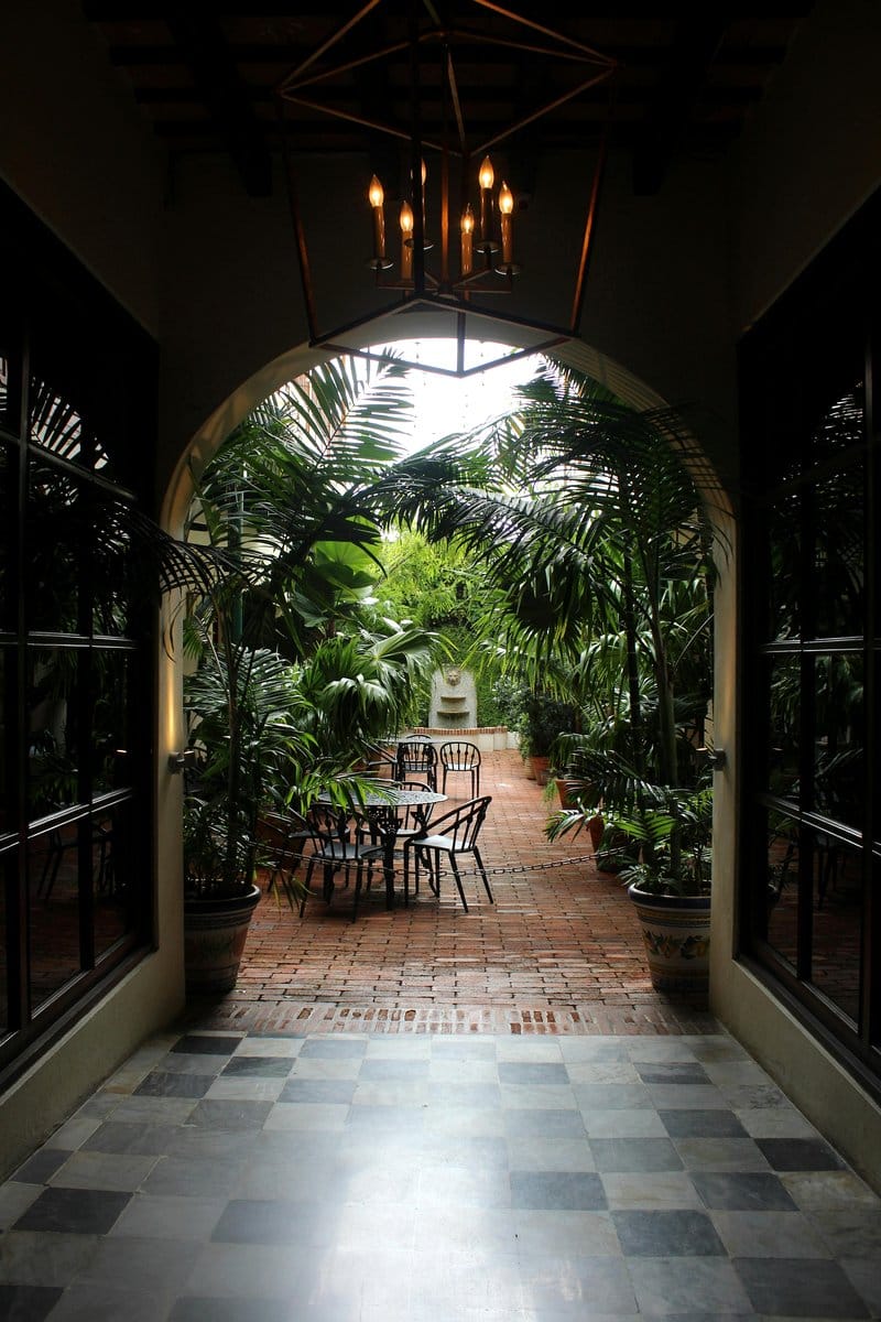 potted palm trees flanking doorway